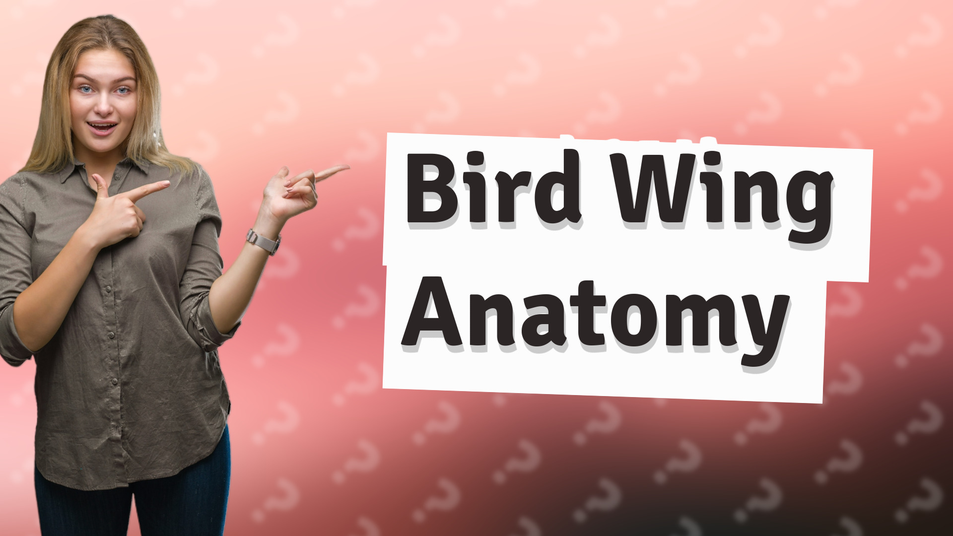 Bird Wing Anatomy