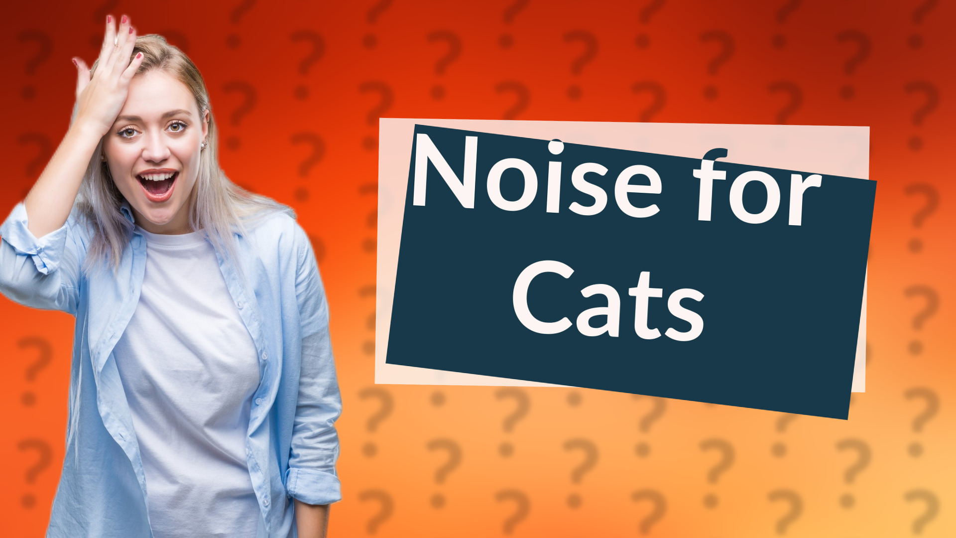 Noise for Cats