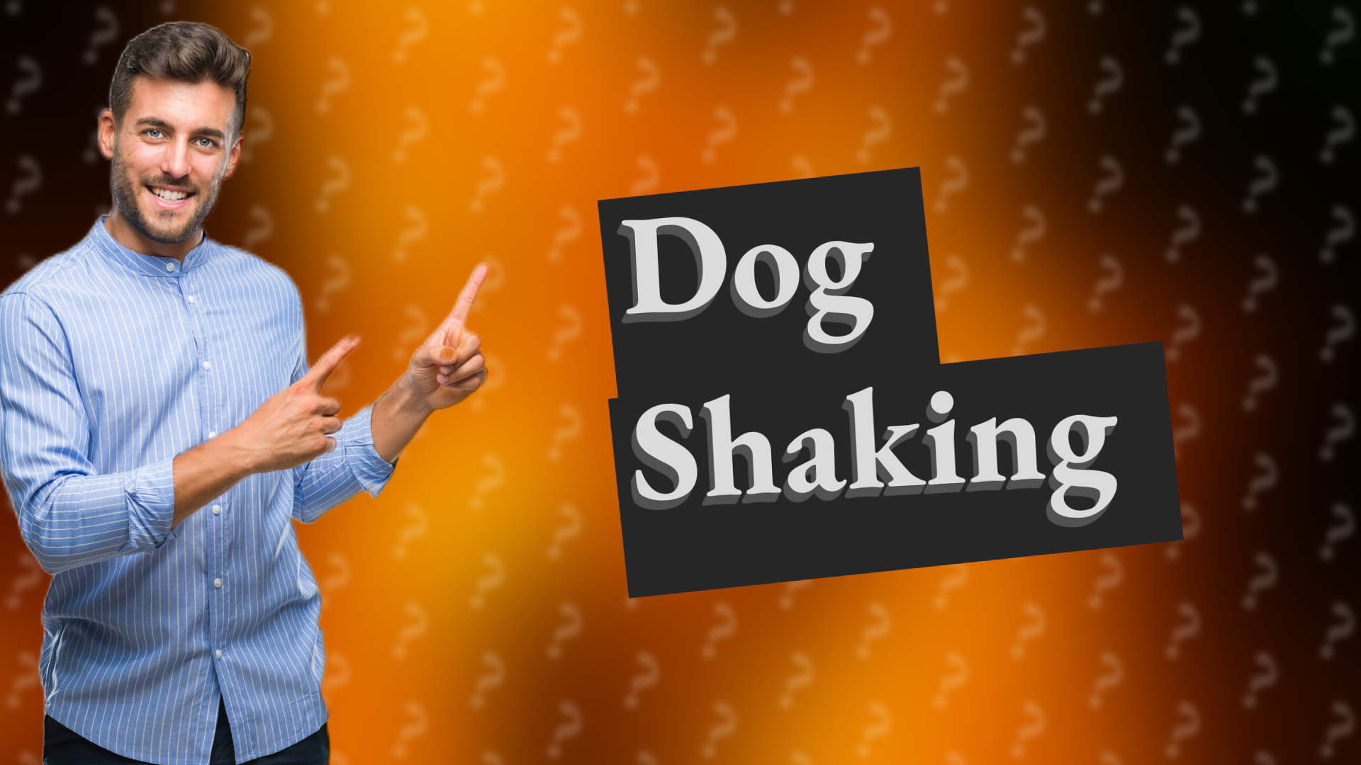 Dog Shaking
