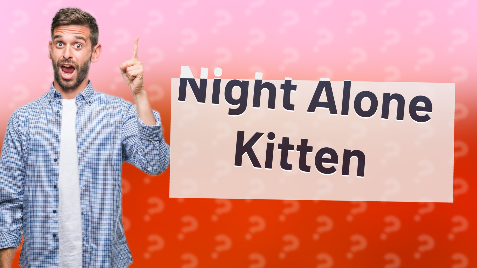 Night Alone Kitten