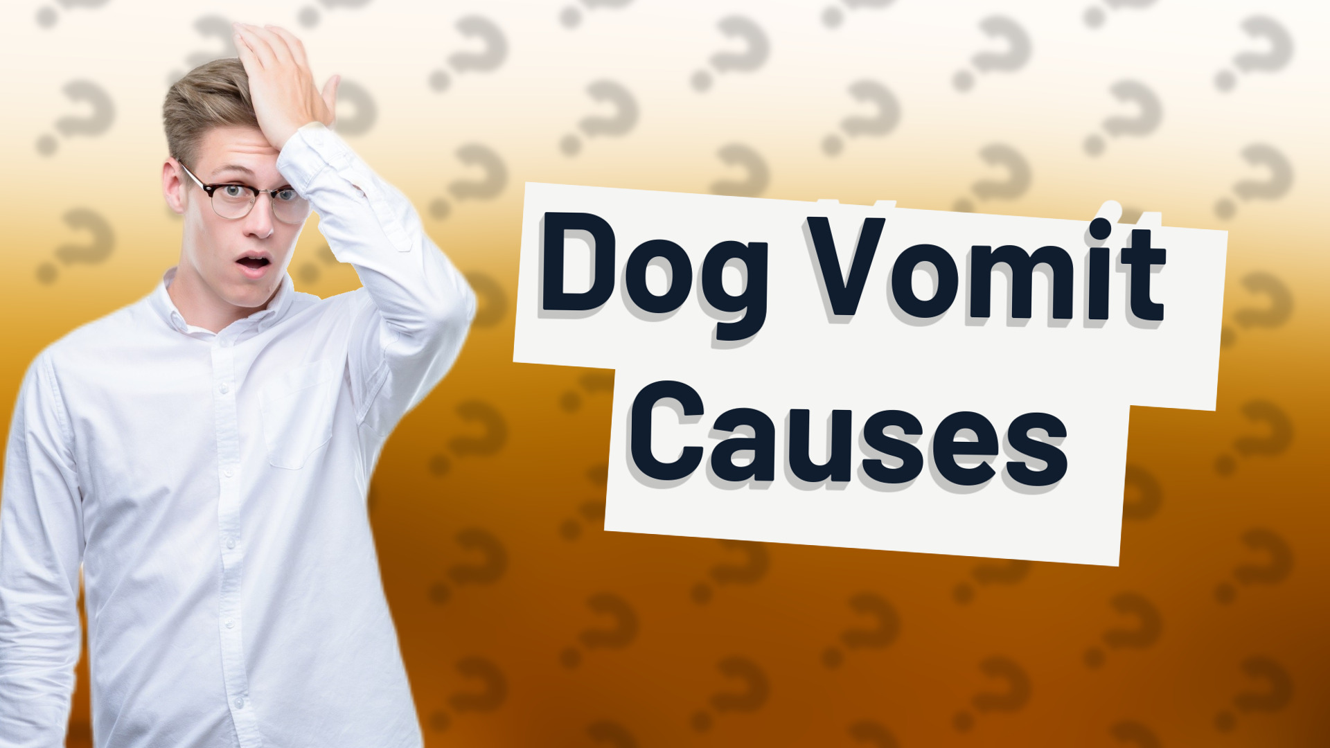 Dog Vomit Causes