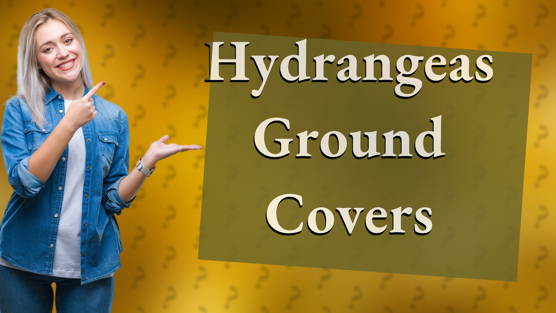 Hydrangeas Ground Covers