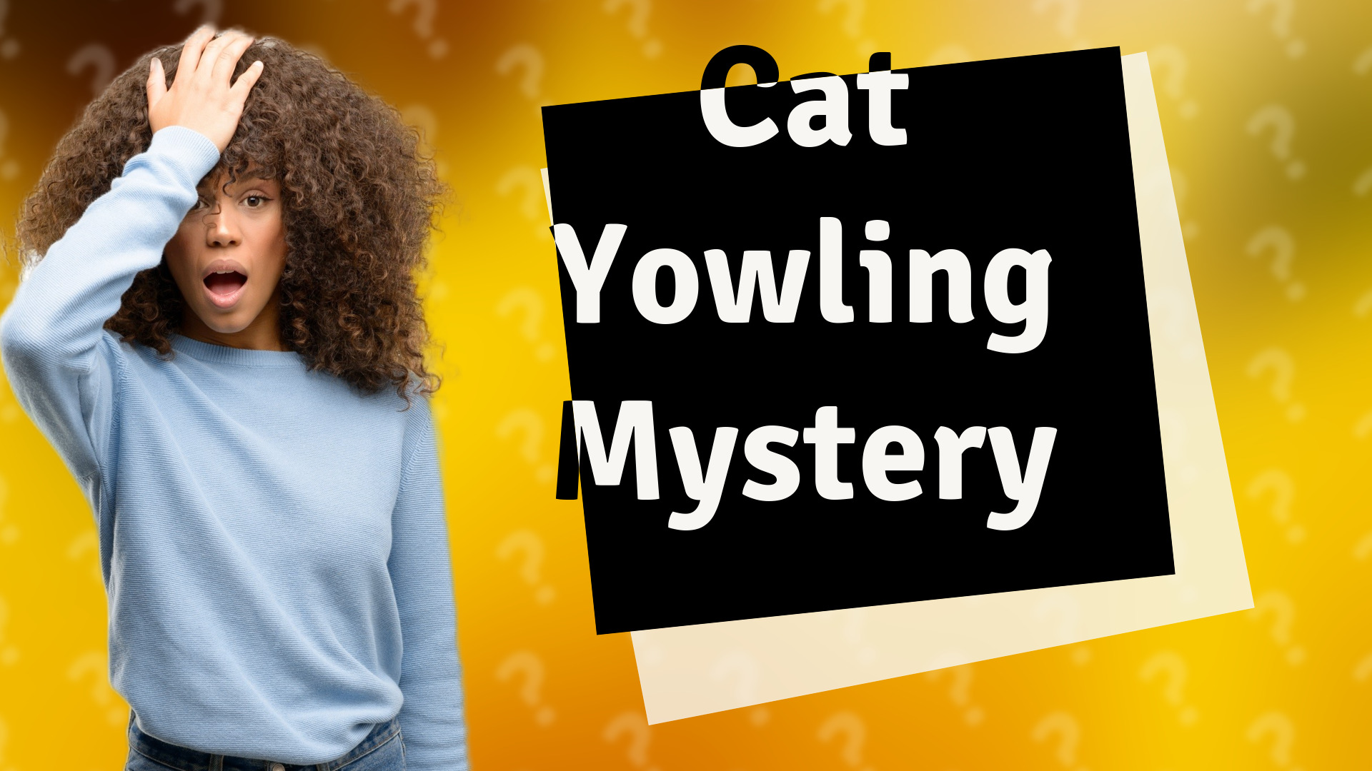 Cat Yowling Mystery