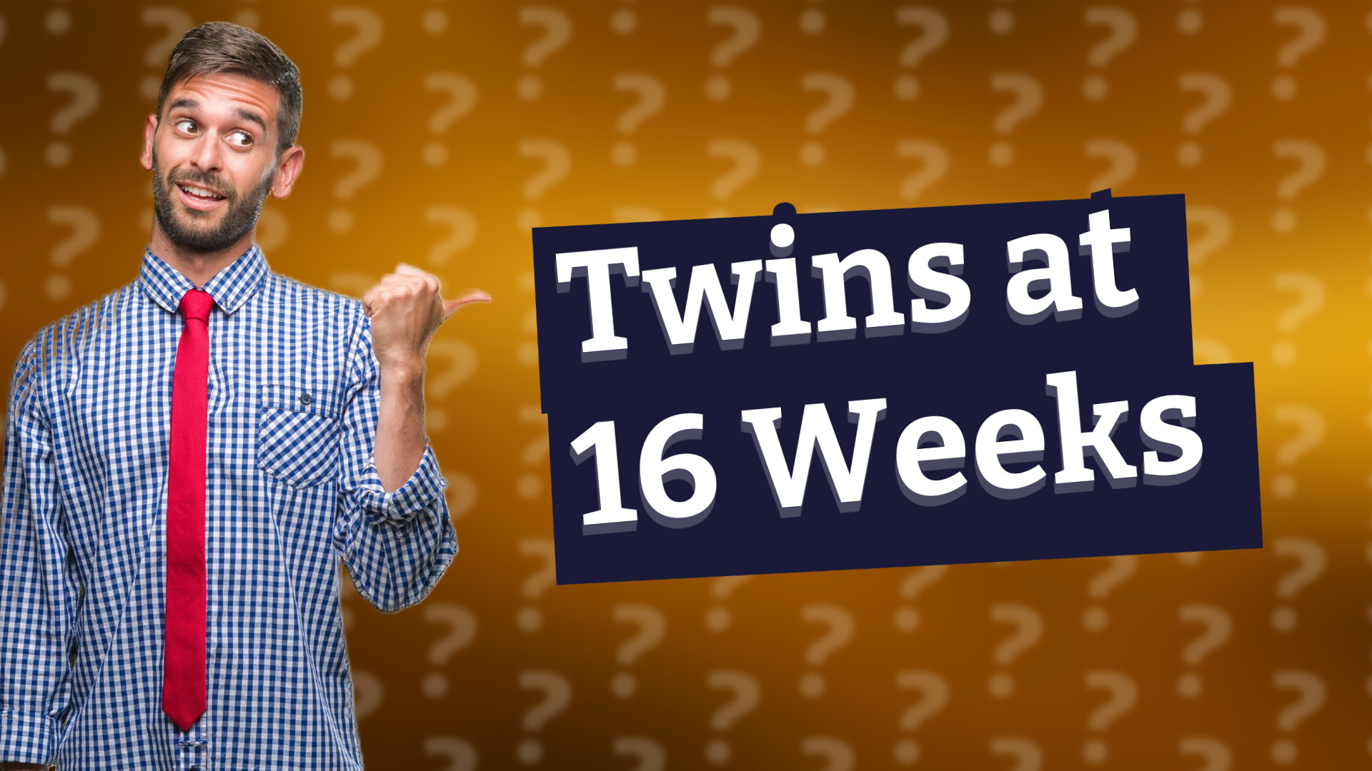 Twins at 16 Weeks