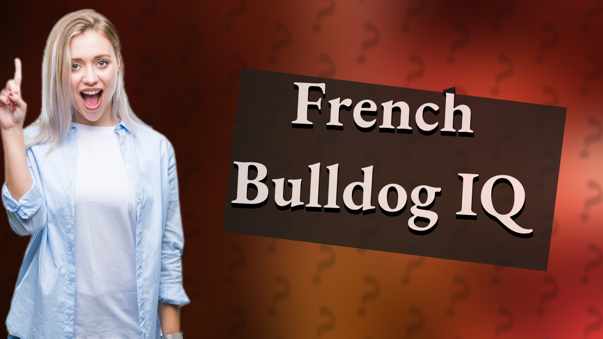 French Bulldog IQ