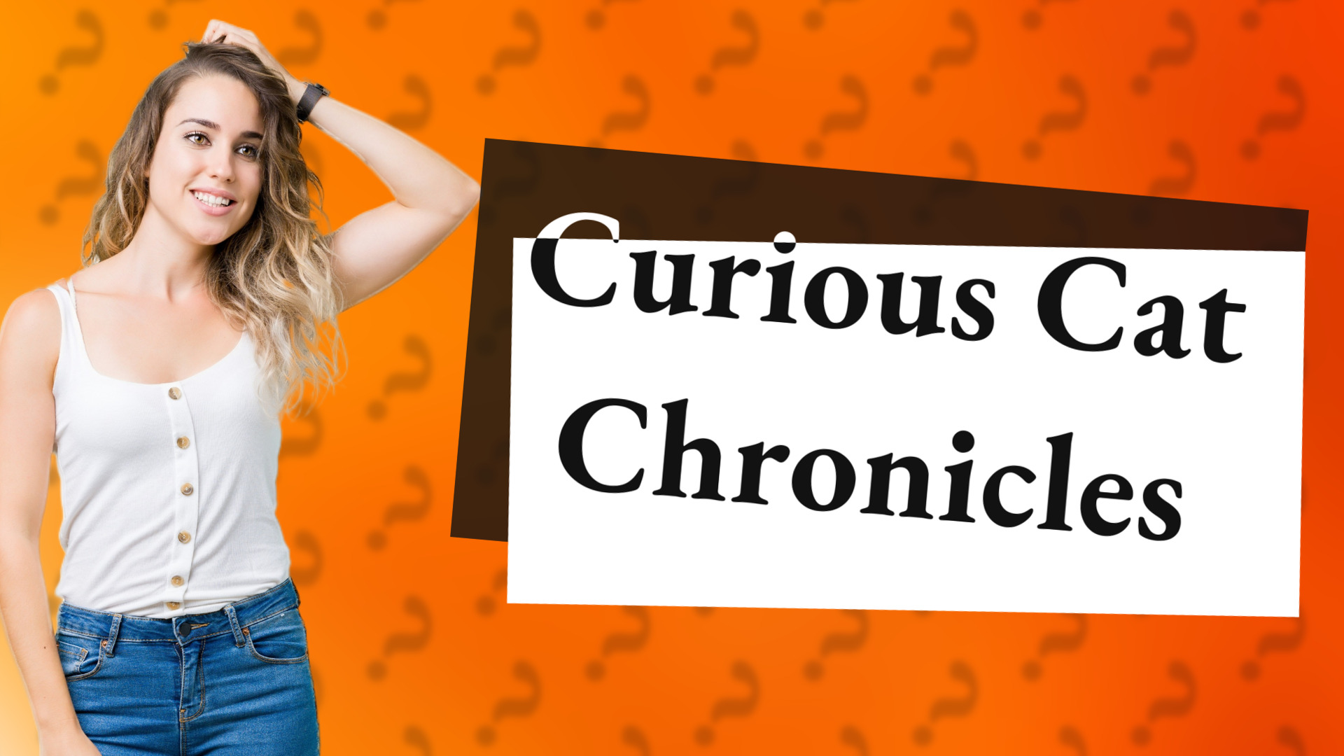 Curious Cat Chronicles