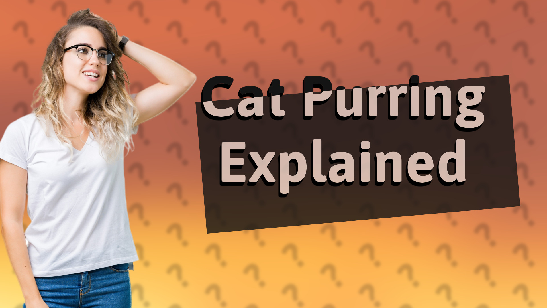 Cat Purring Explained