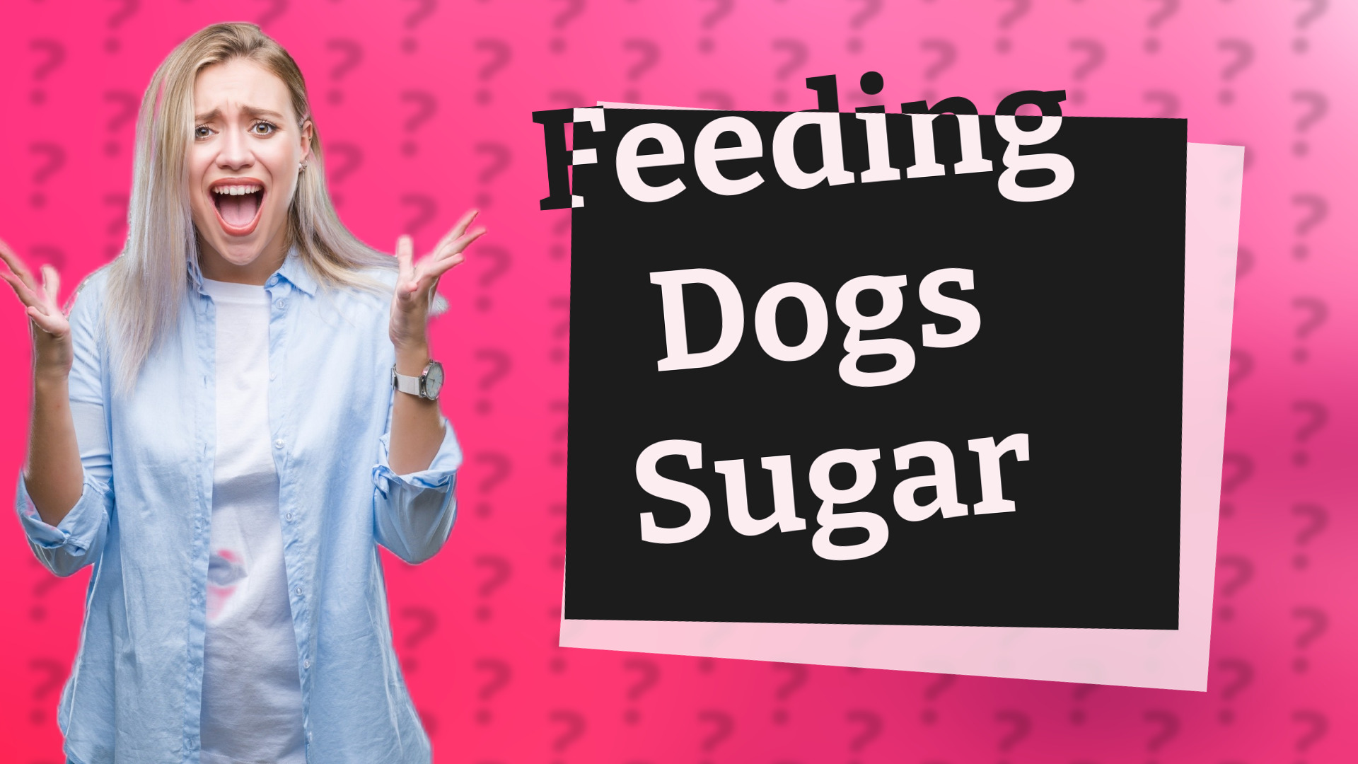 Feeding Dogs Sugar