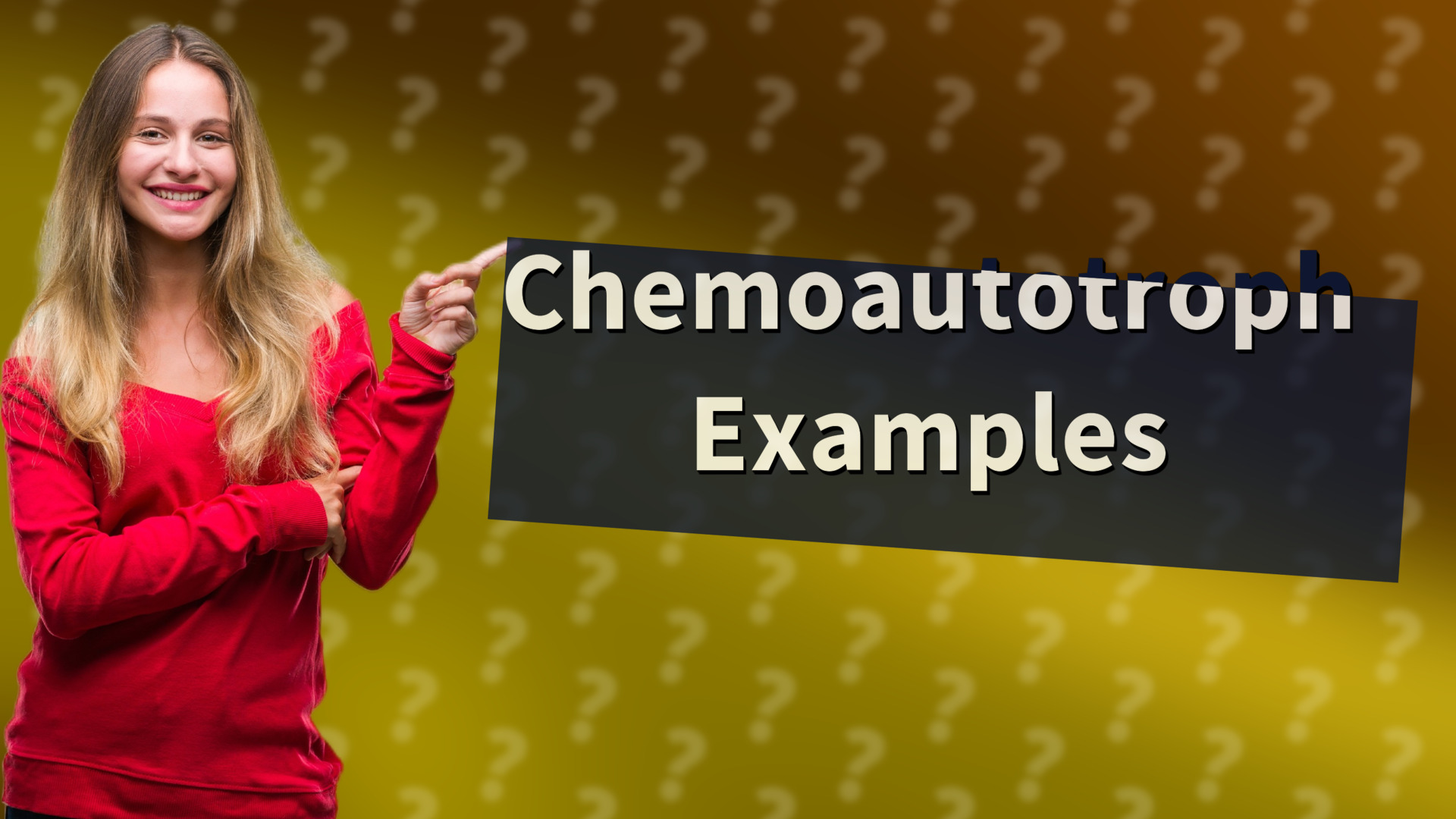 Chemoautotroph Examples