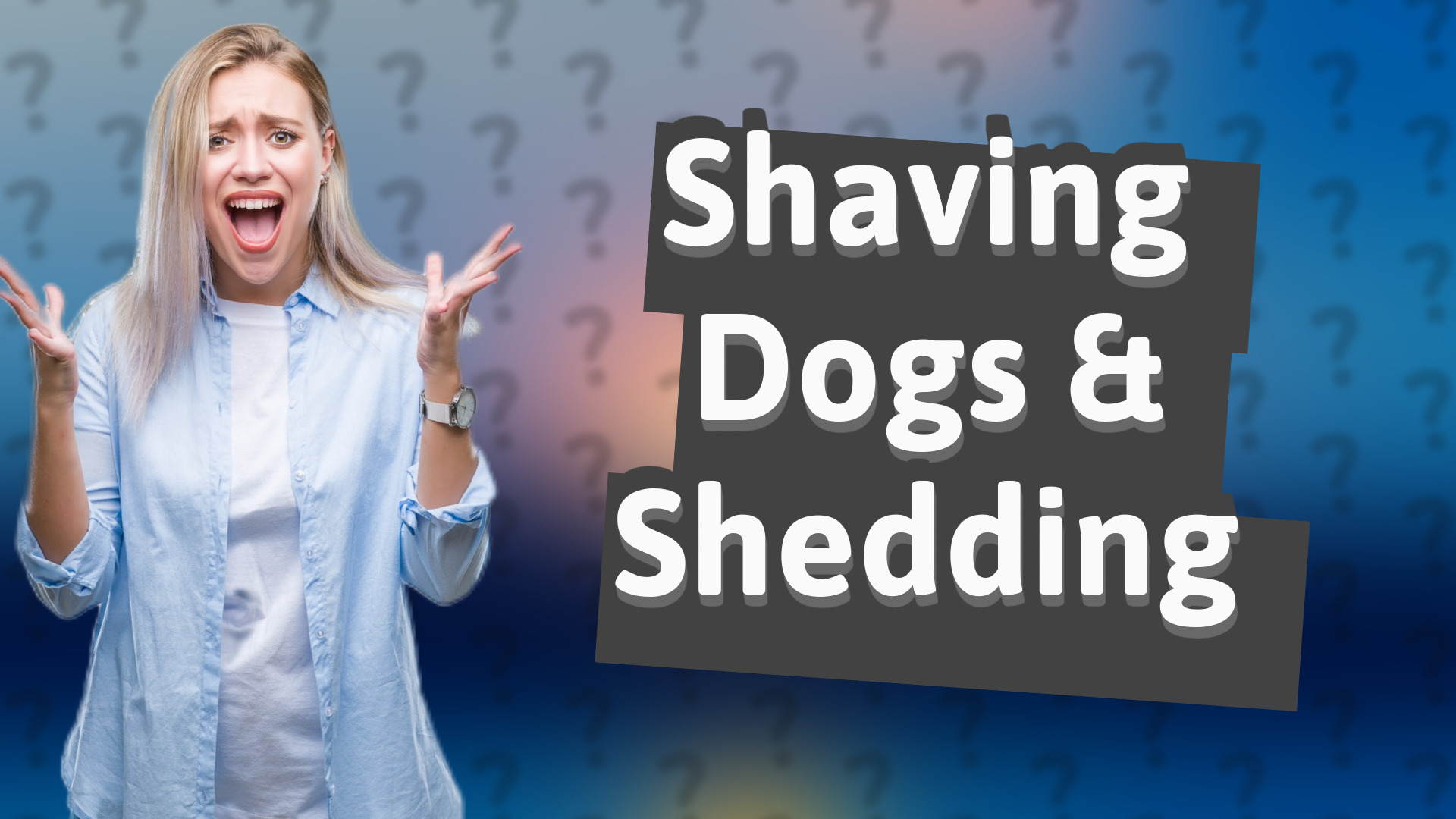 Shaving Dogs & Shedding