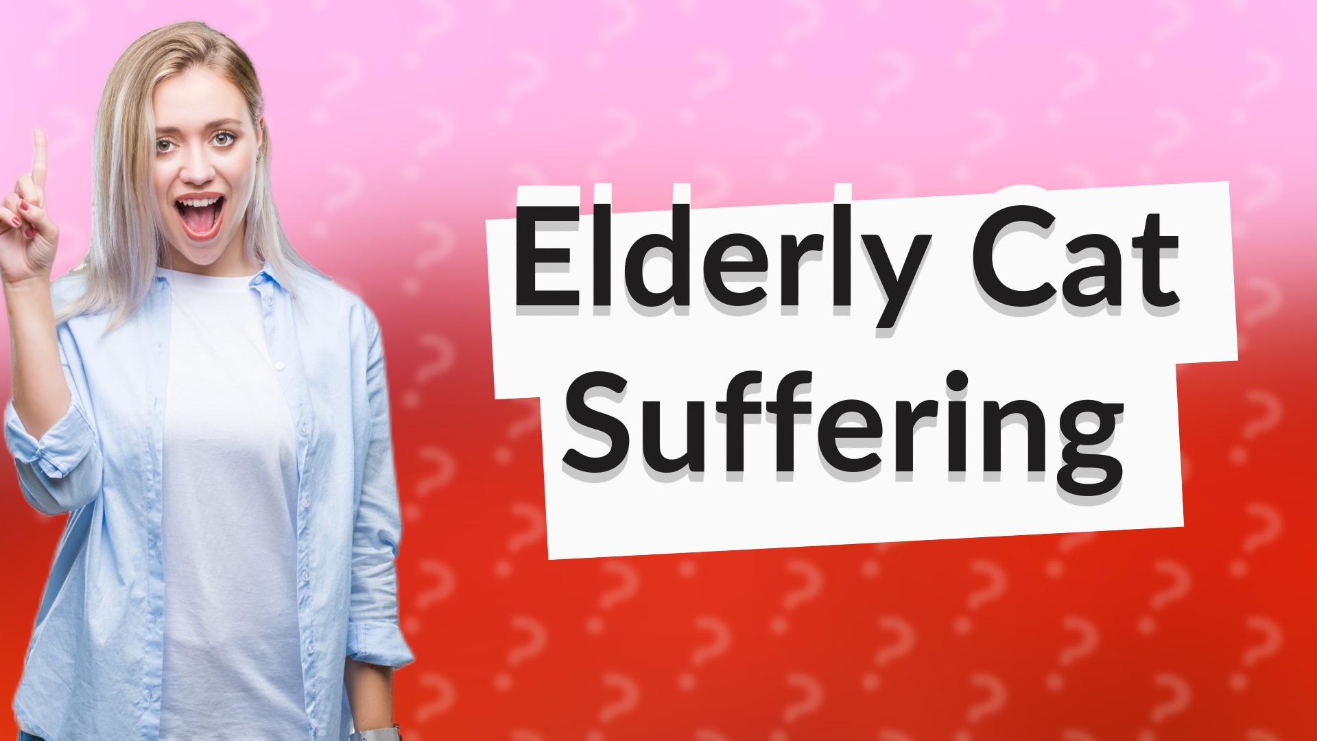 Elderly Cat Suffering