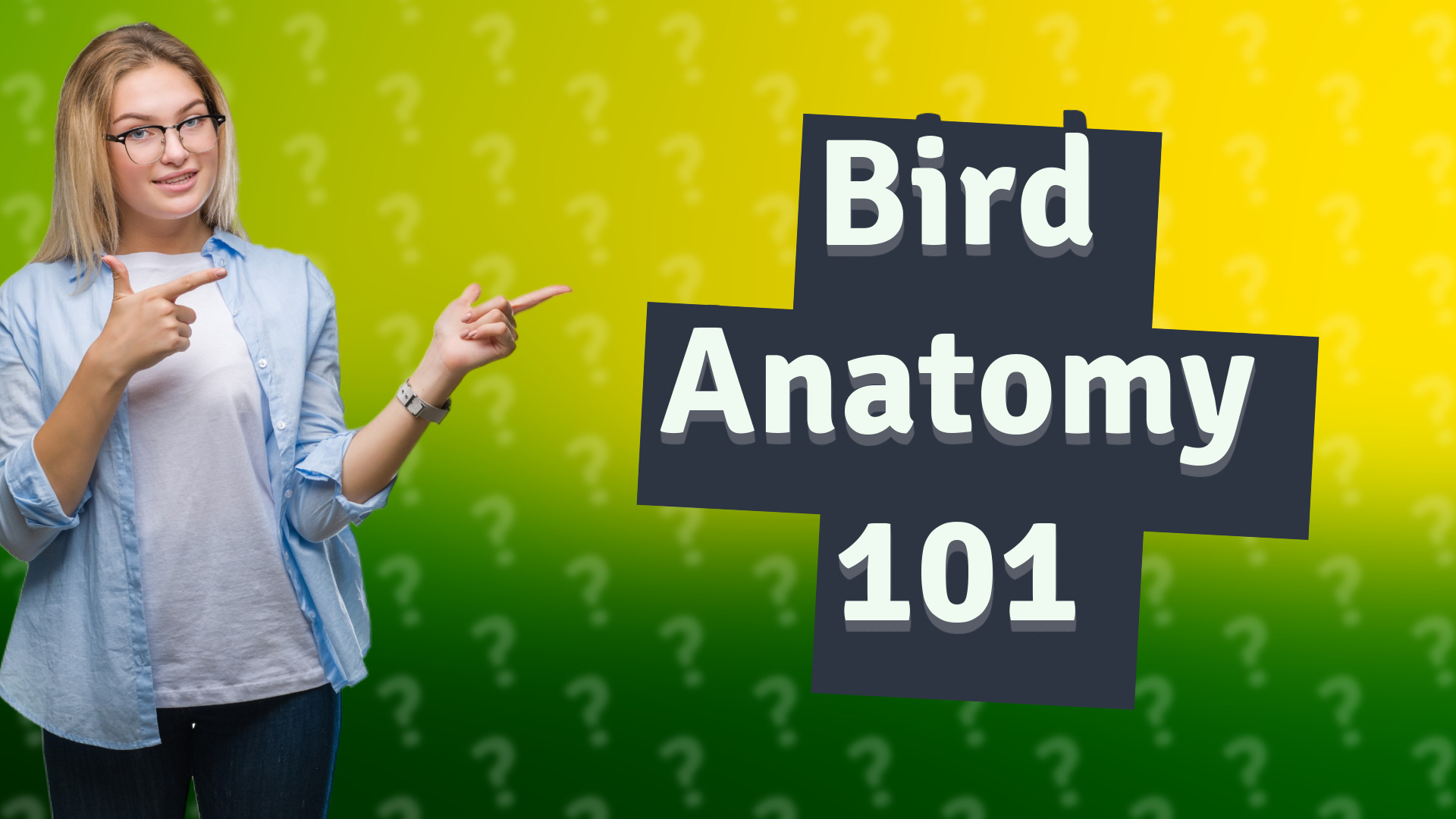 Bird Anatomy 101