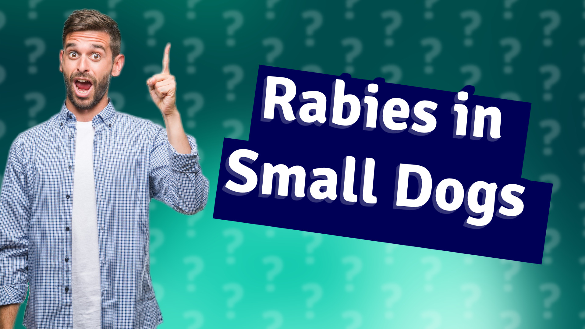 Rabies in Small Dogs