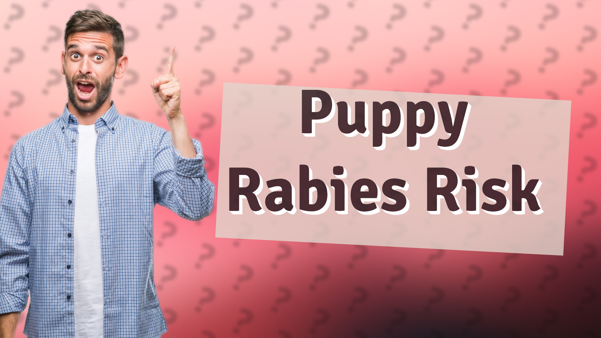Puppy Rabies Risk