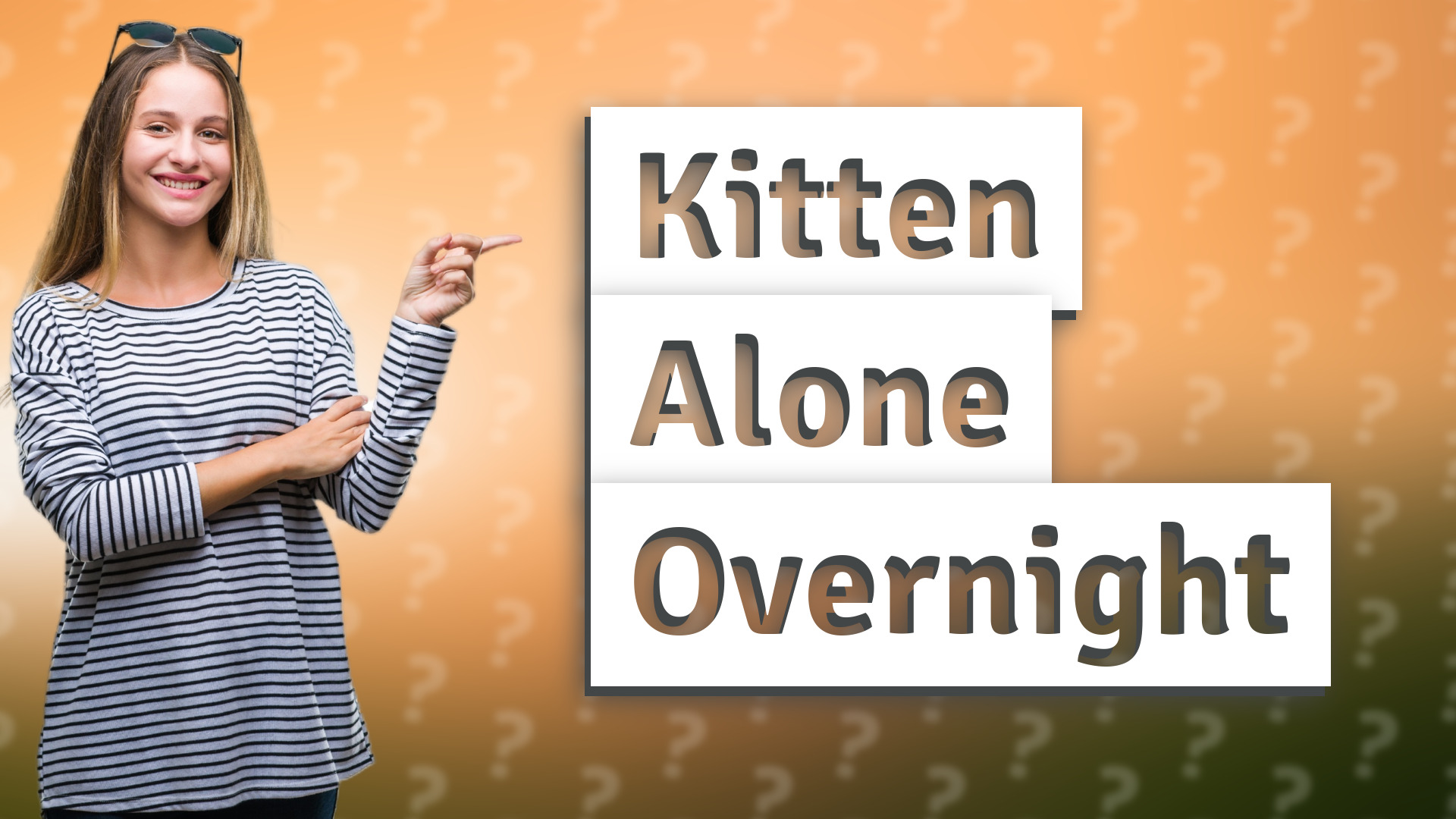 Kitten Alone Overnight
