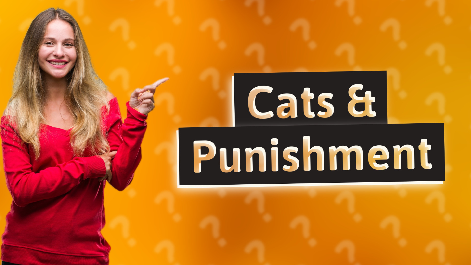 Cats & Punishment