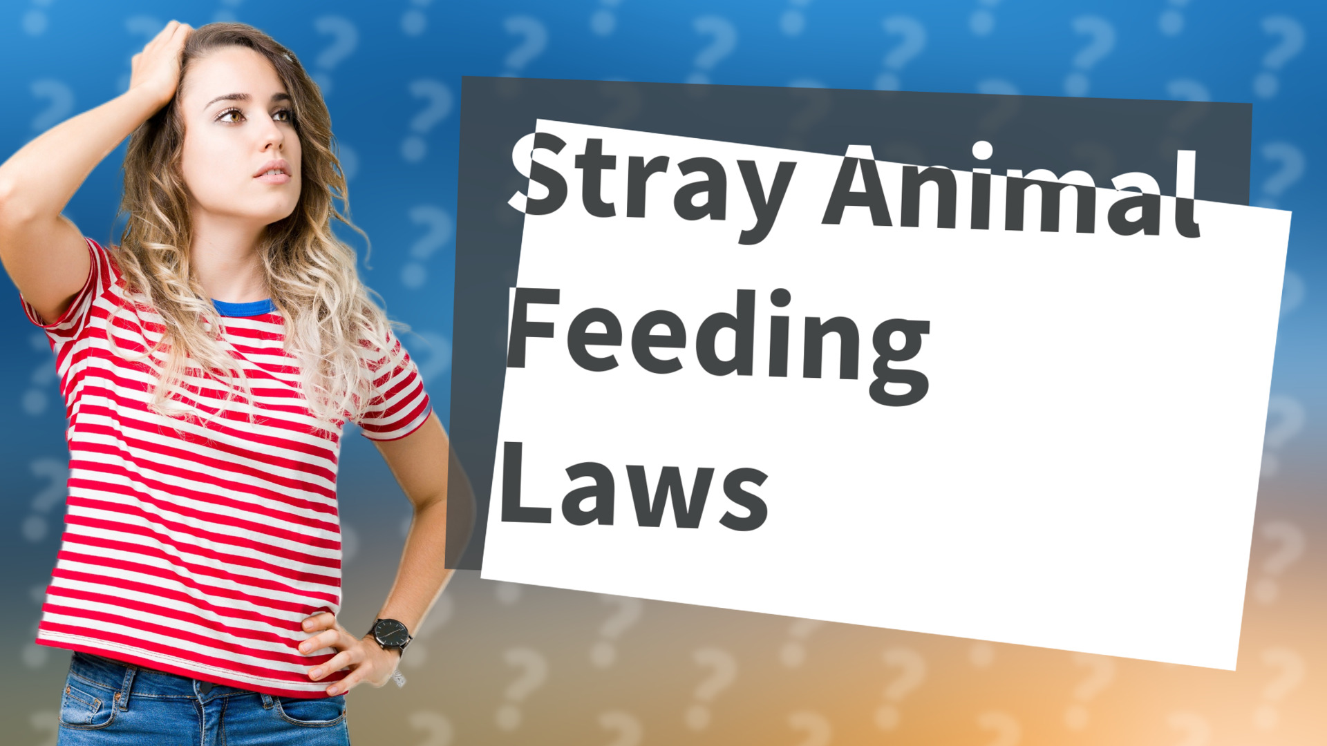 Stray Animal Feeding Laws