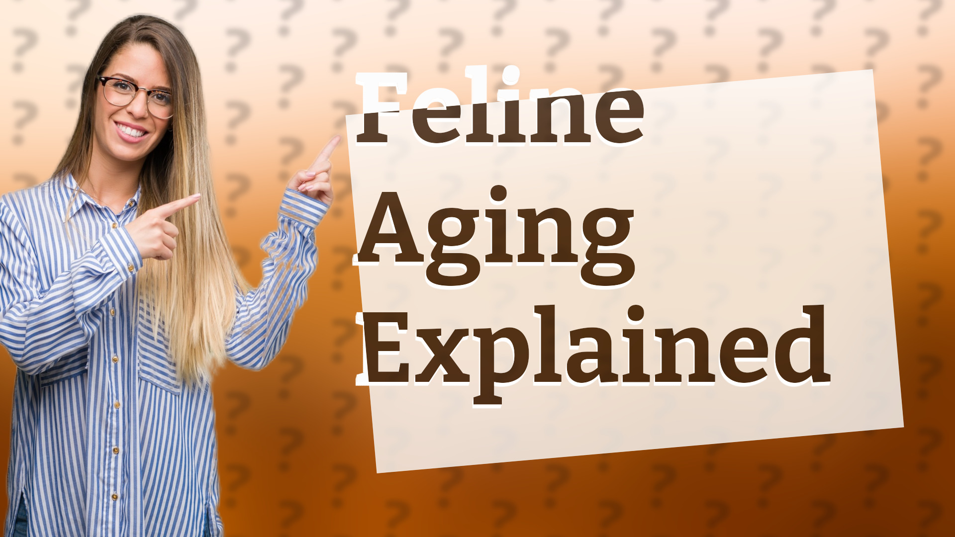 Feline Aging Explained