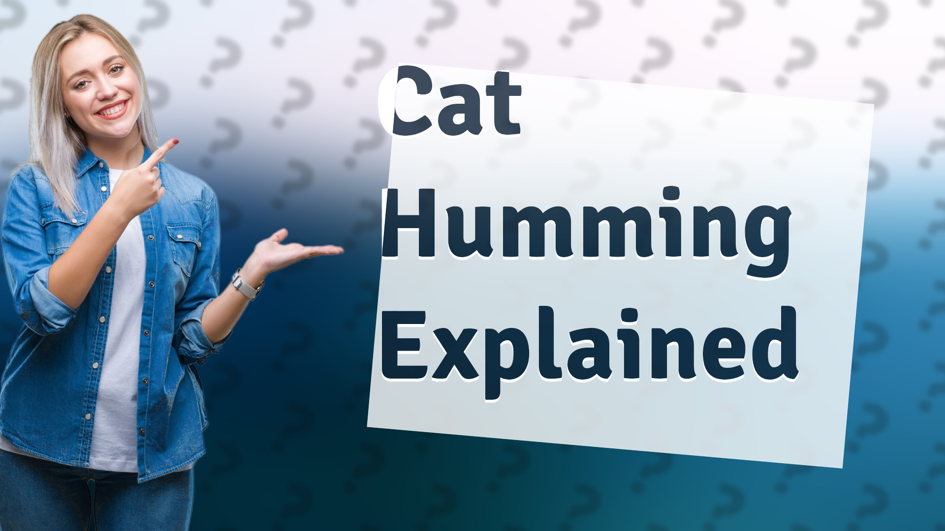Cat Humming Explained