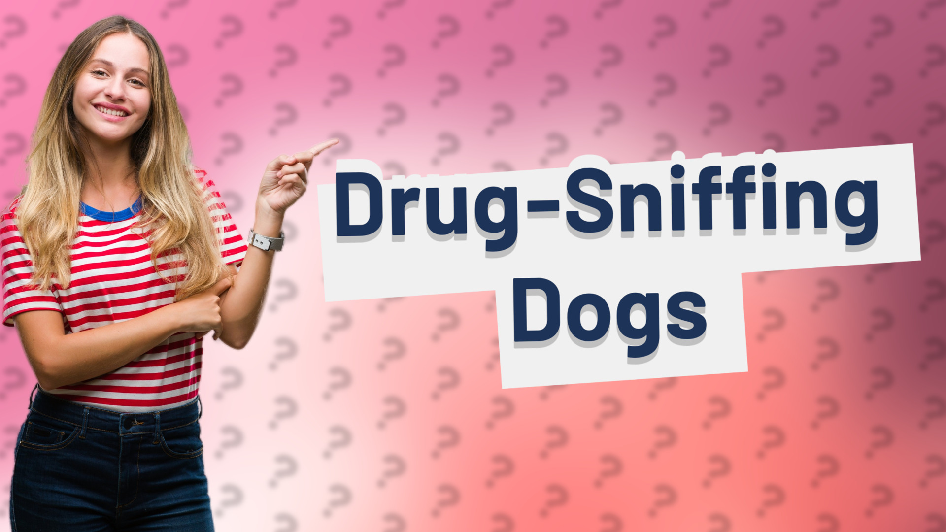 Drug-Sniffing Dogs
