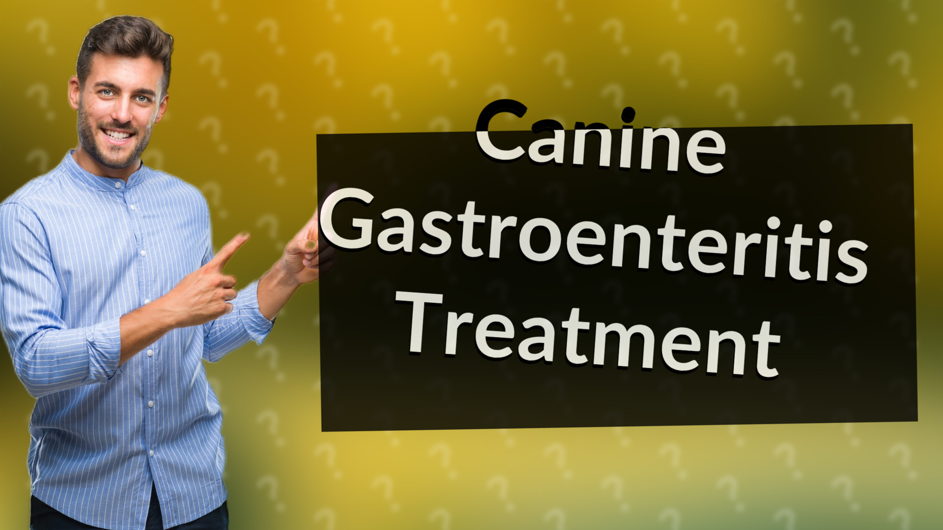 Canine Gastroenteritis Treatment