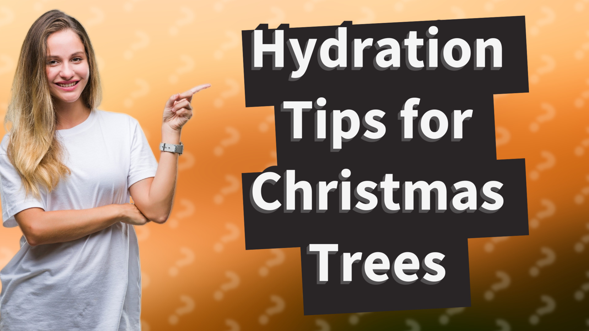 Hydration Tips for Christmas Trees