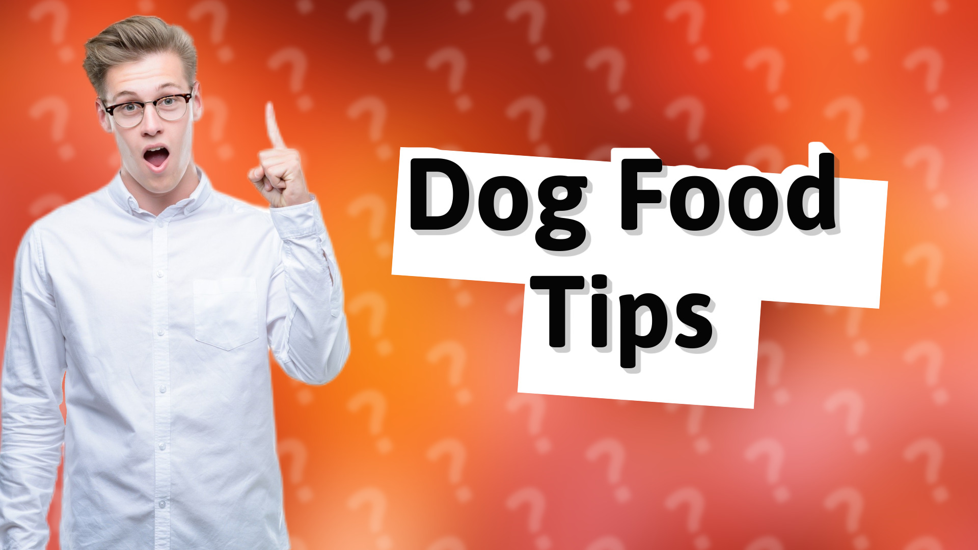 Dog Food Tips