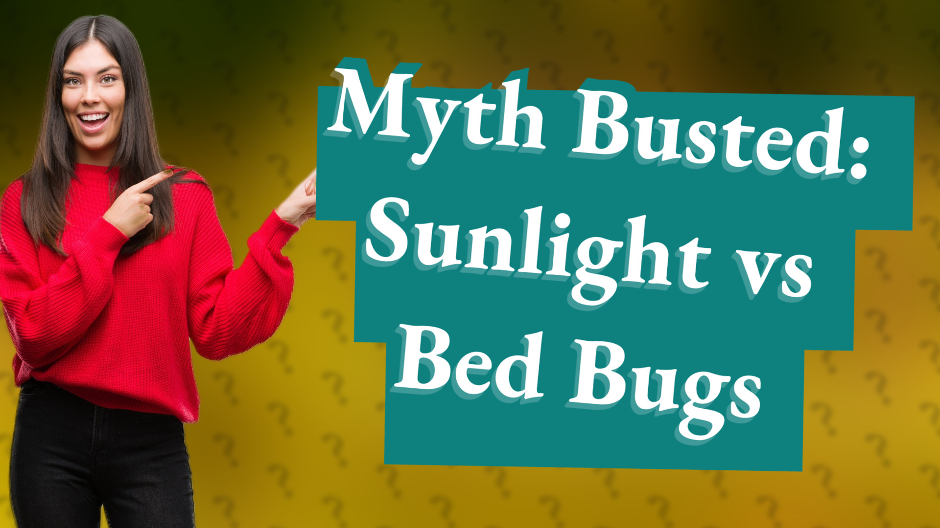 Myth Busted: Sunlight vs Bed Bugs