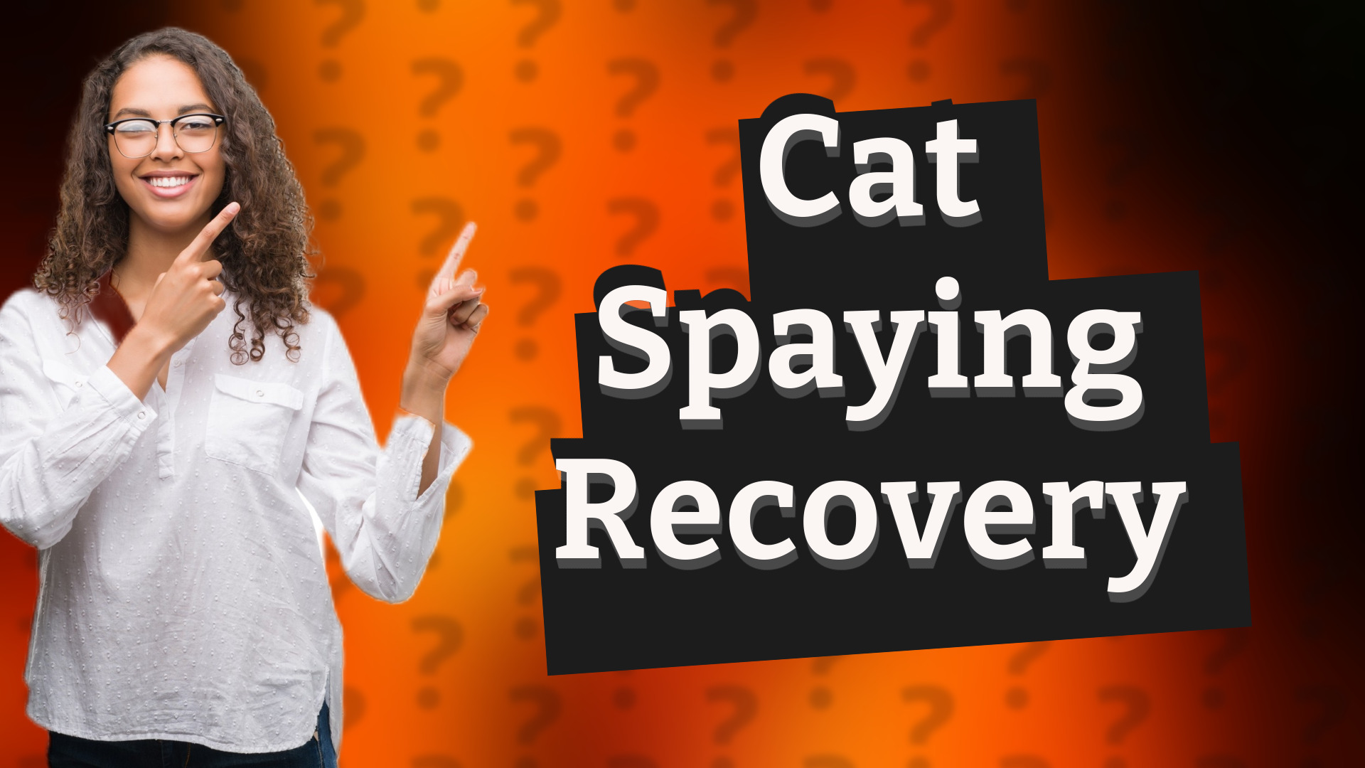 Cat Spaying Recovery