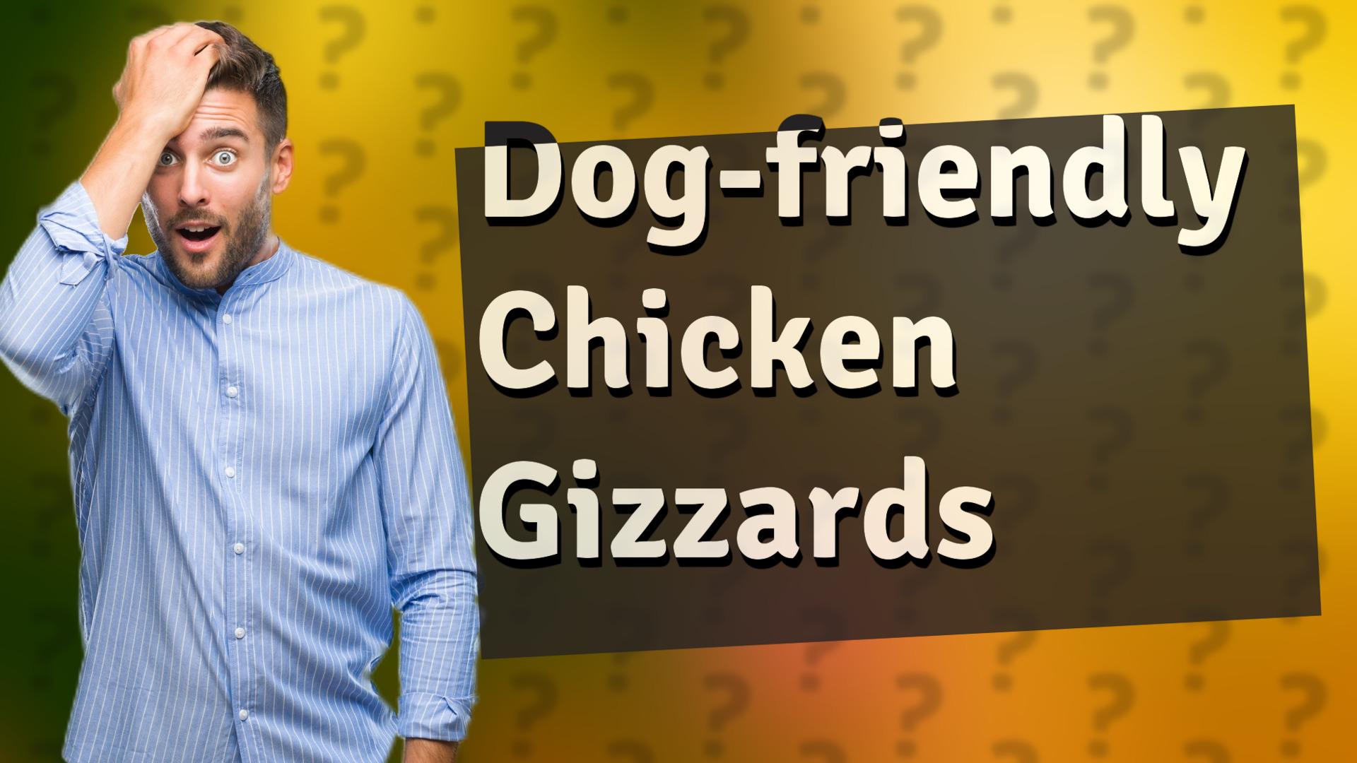 Dog-friendly Chicken Gizzards