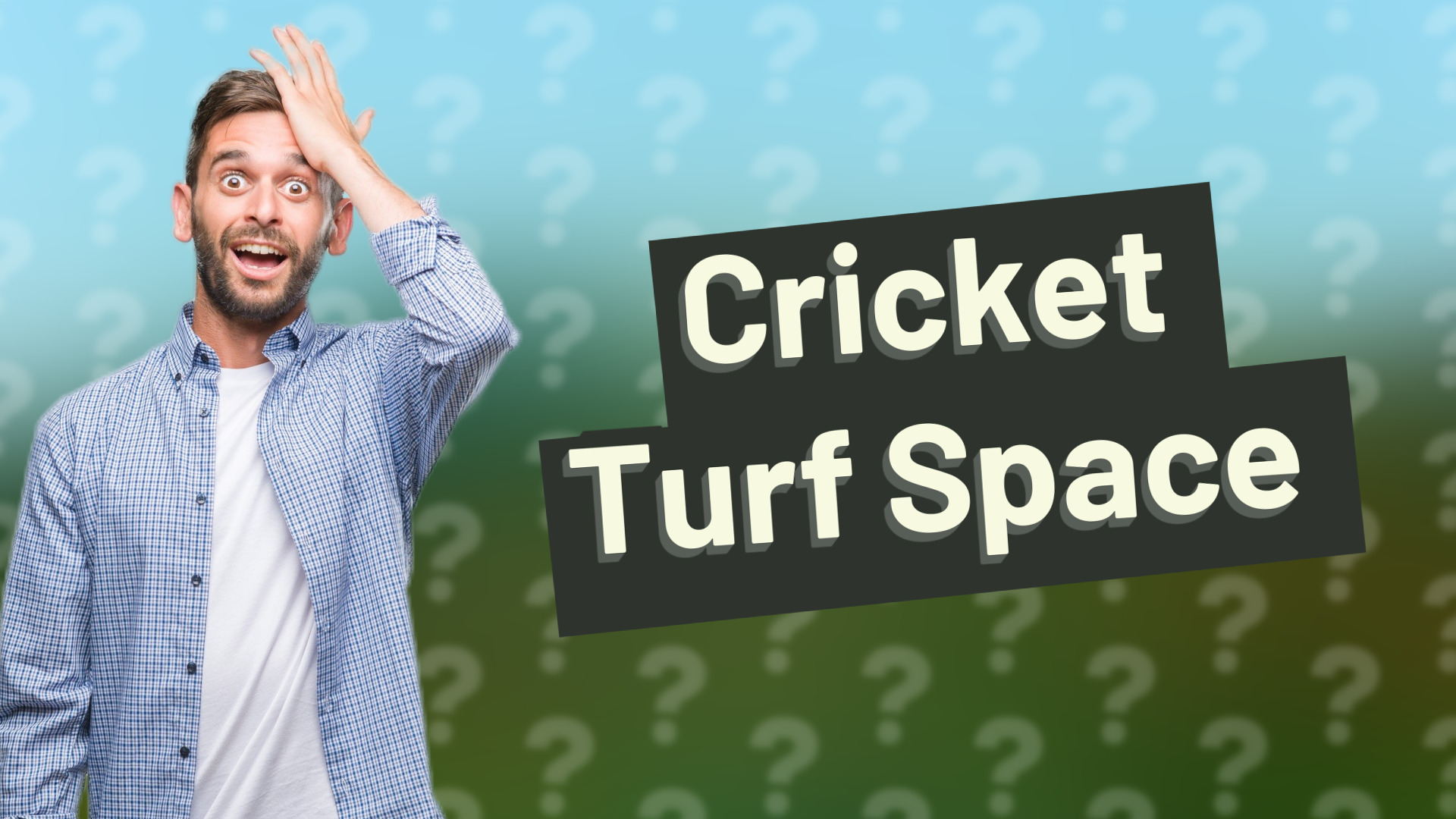 Cricket Turf Space