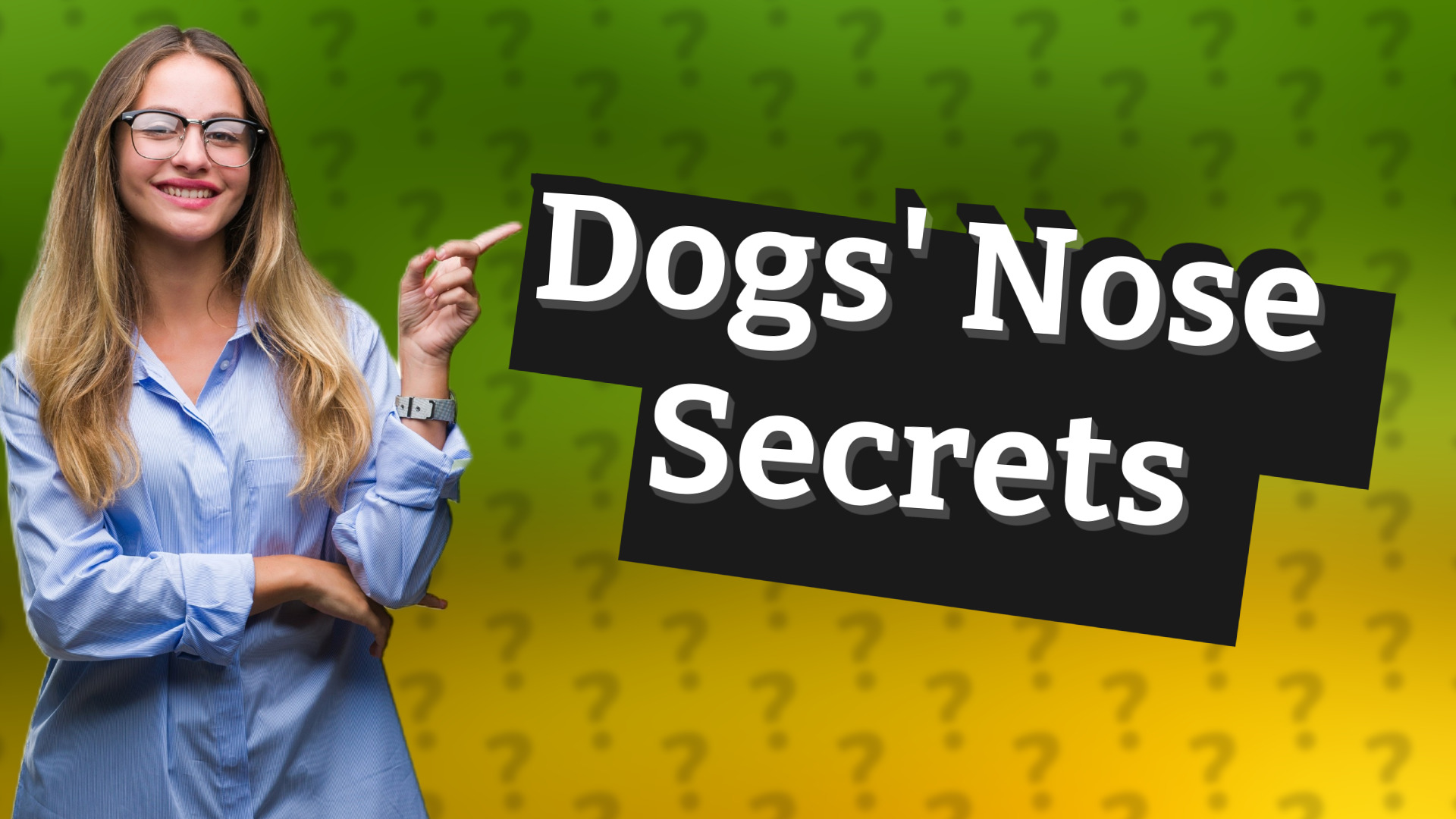 Dogs' Nose Secrets
