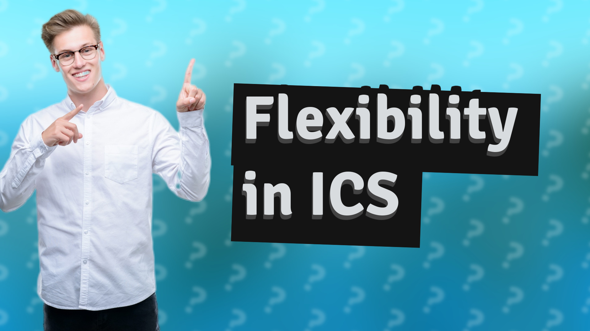Flexibility in ICS