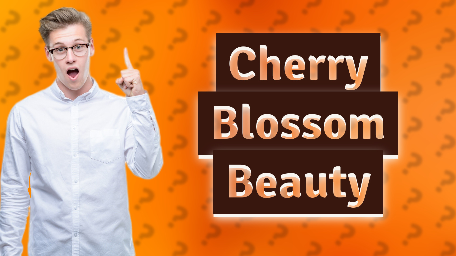 Cherry Blossom Beauty