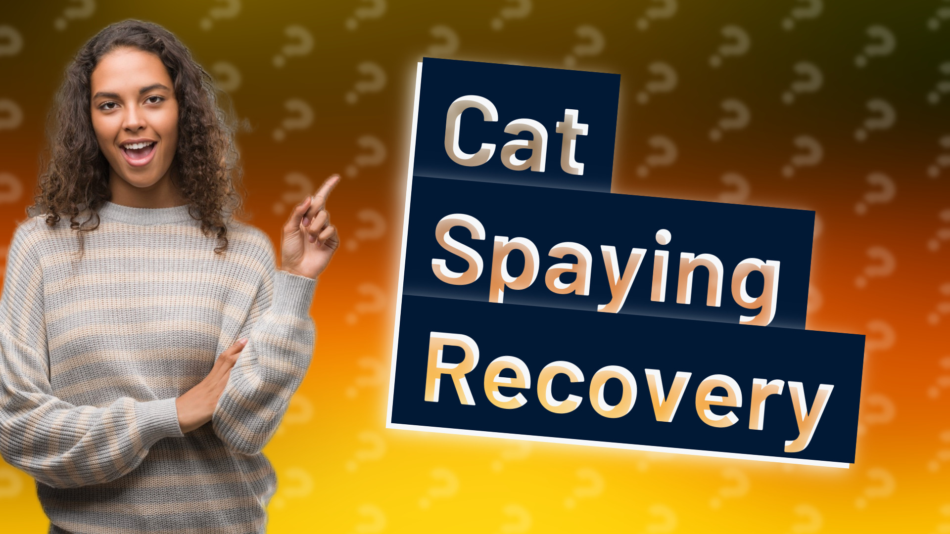 Cat Spaying Recovery