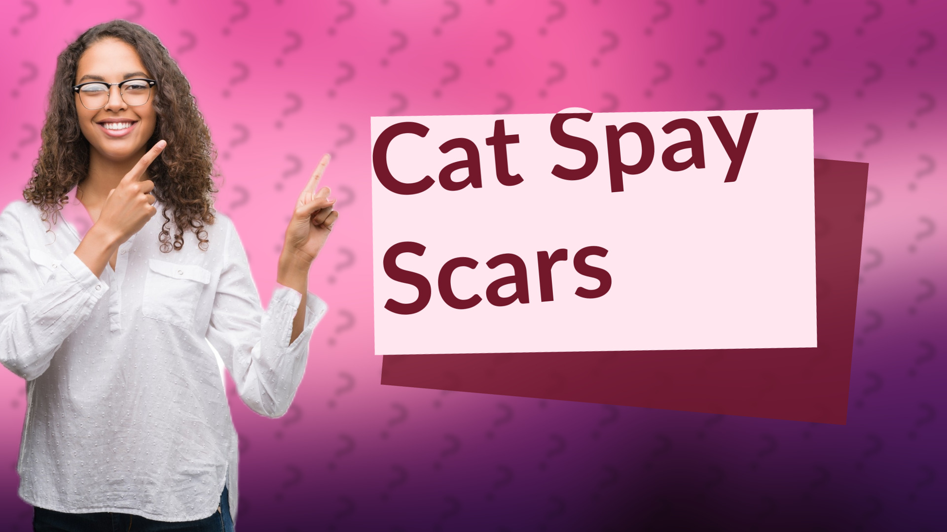 Cat Spay Scars