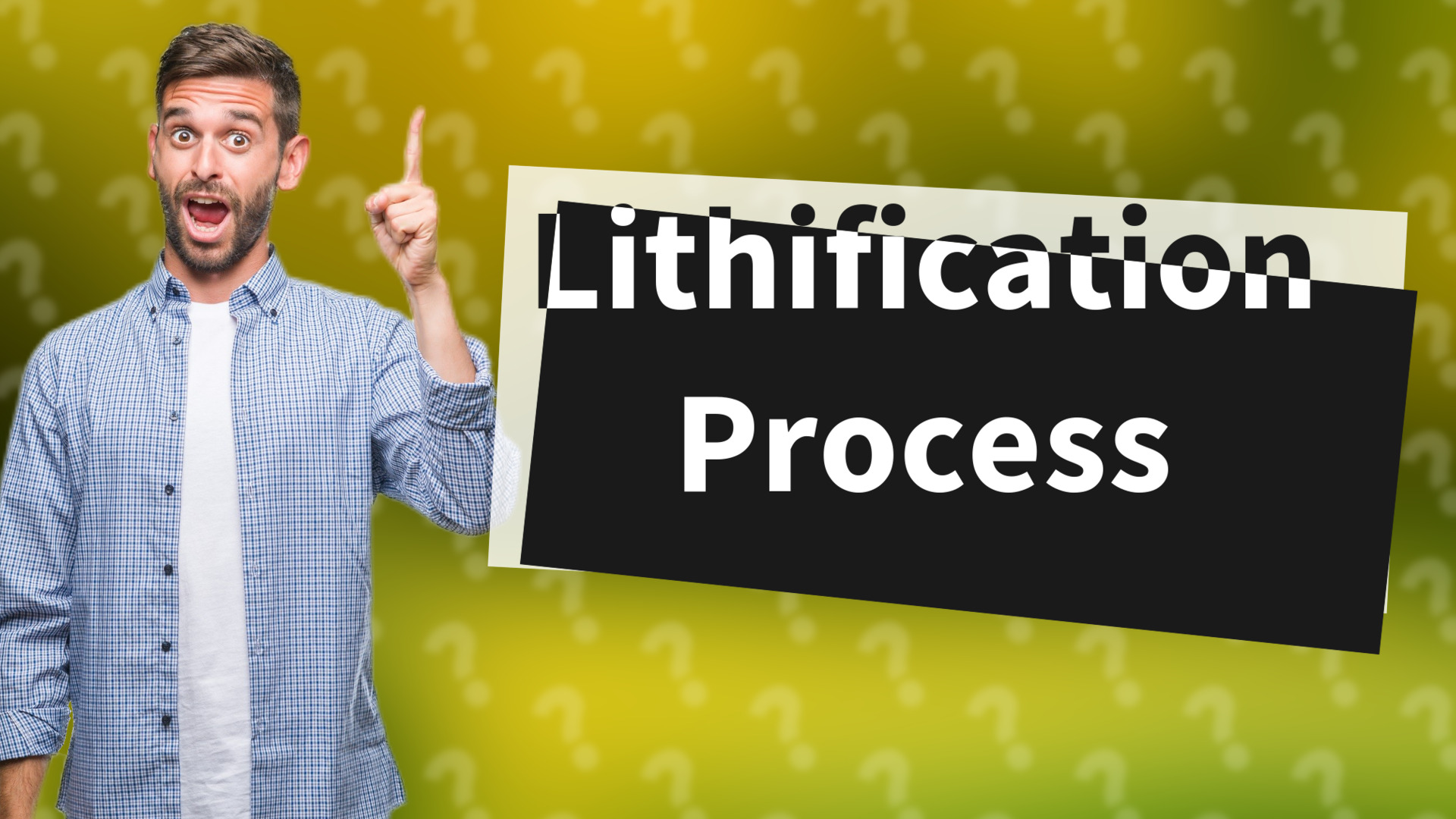 Lithification Process