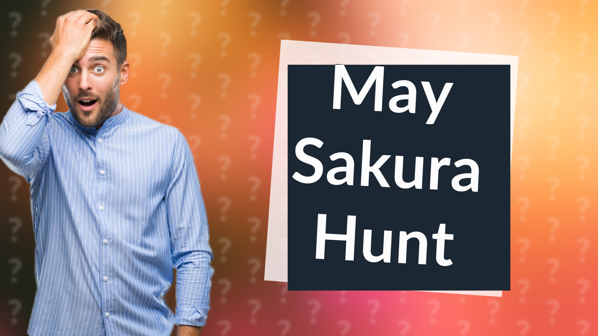 May Sakura Hunt