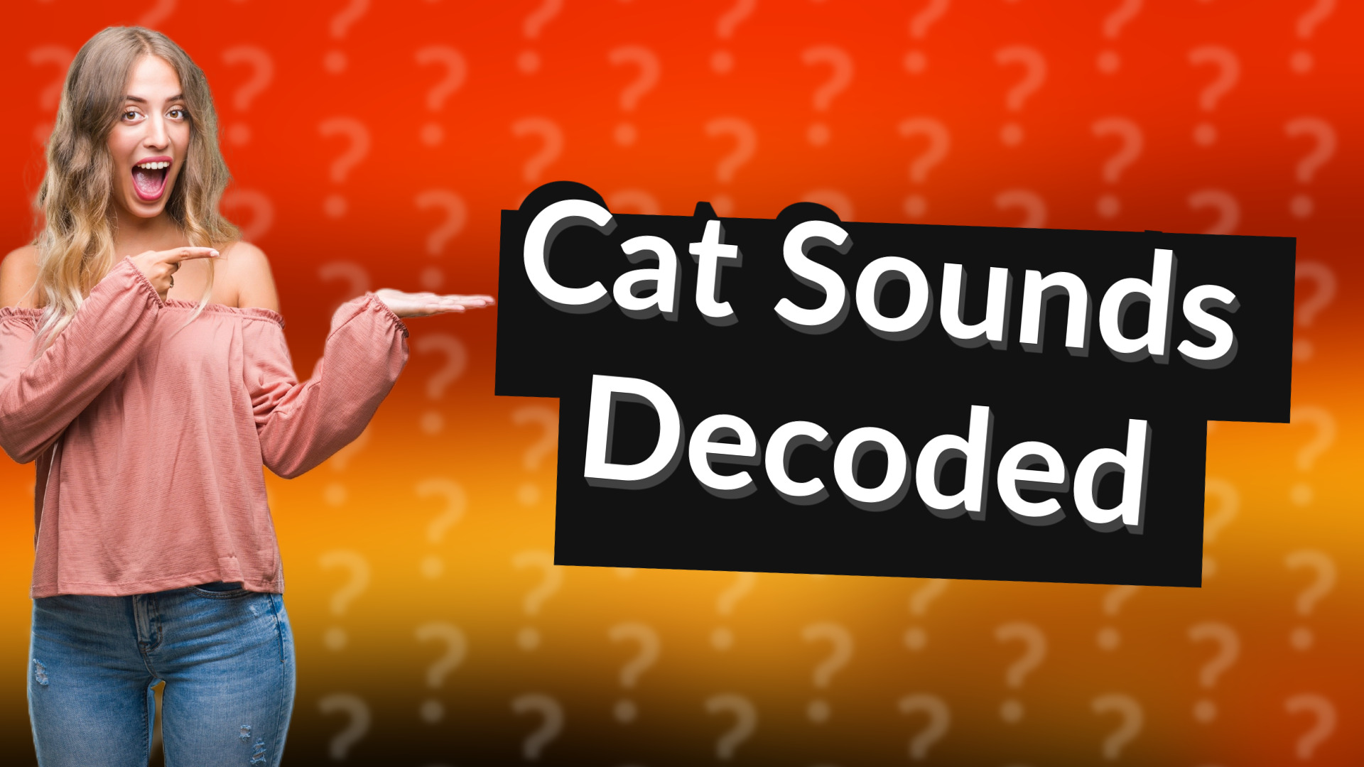 Cat Sounds Decoded