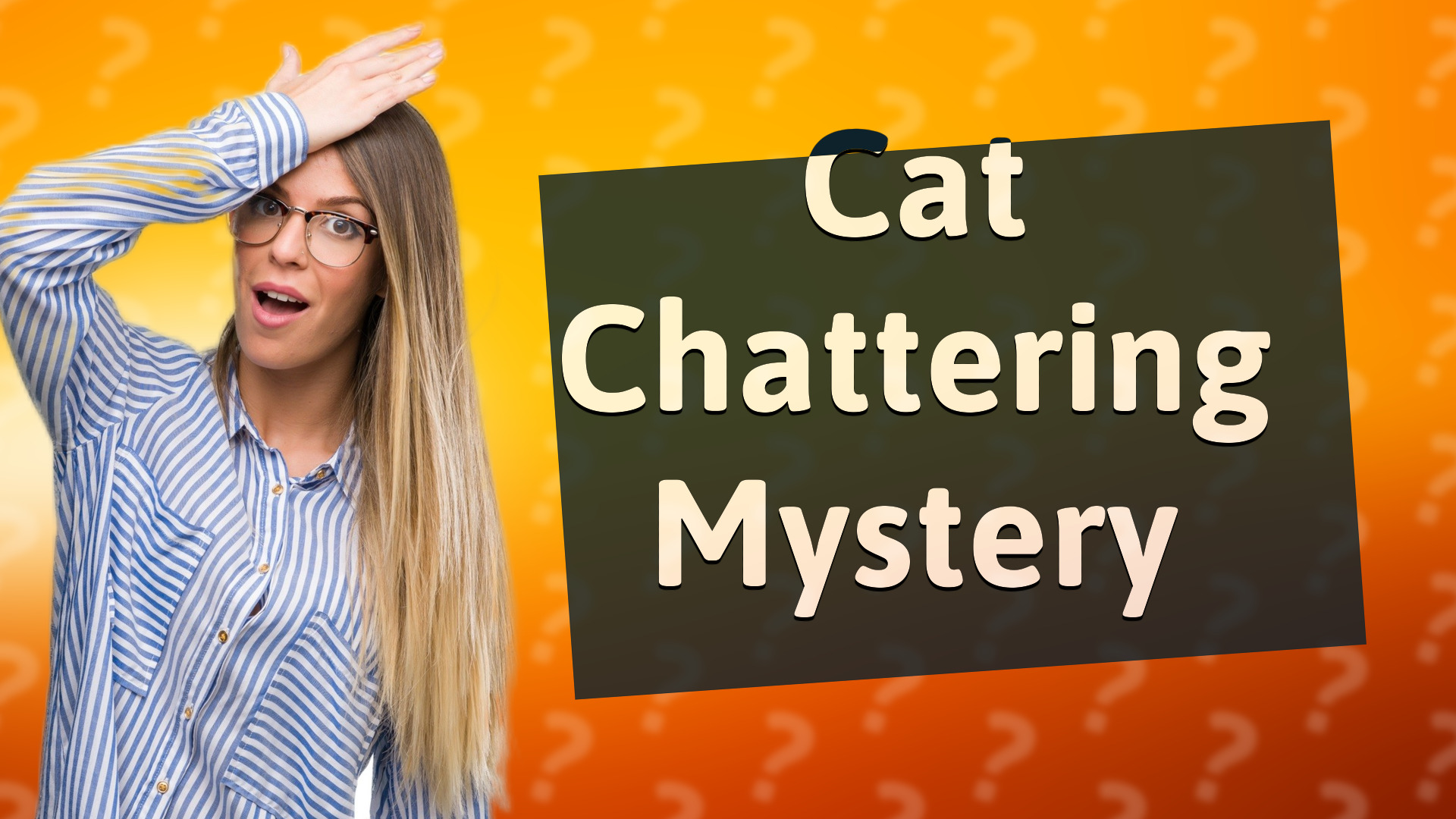 Cat Chattering Mystery