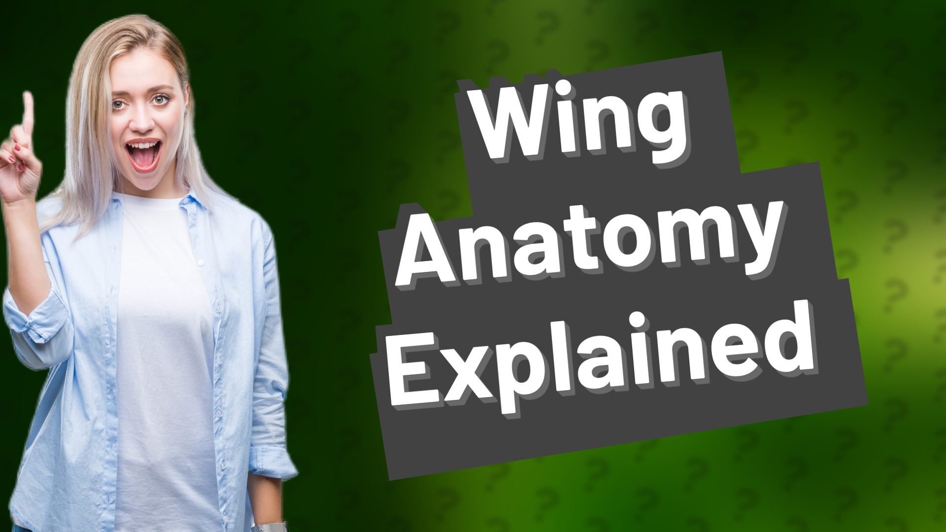 Wing Anatomy Explained