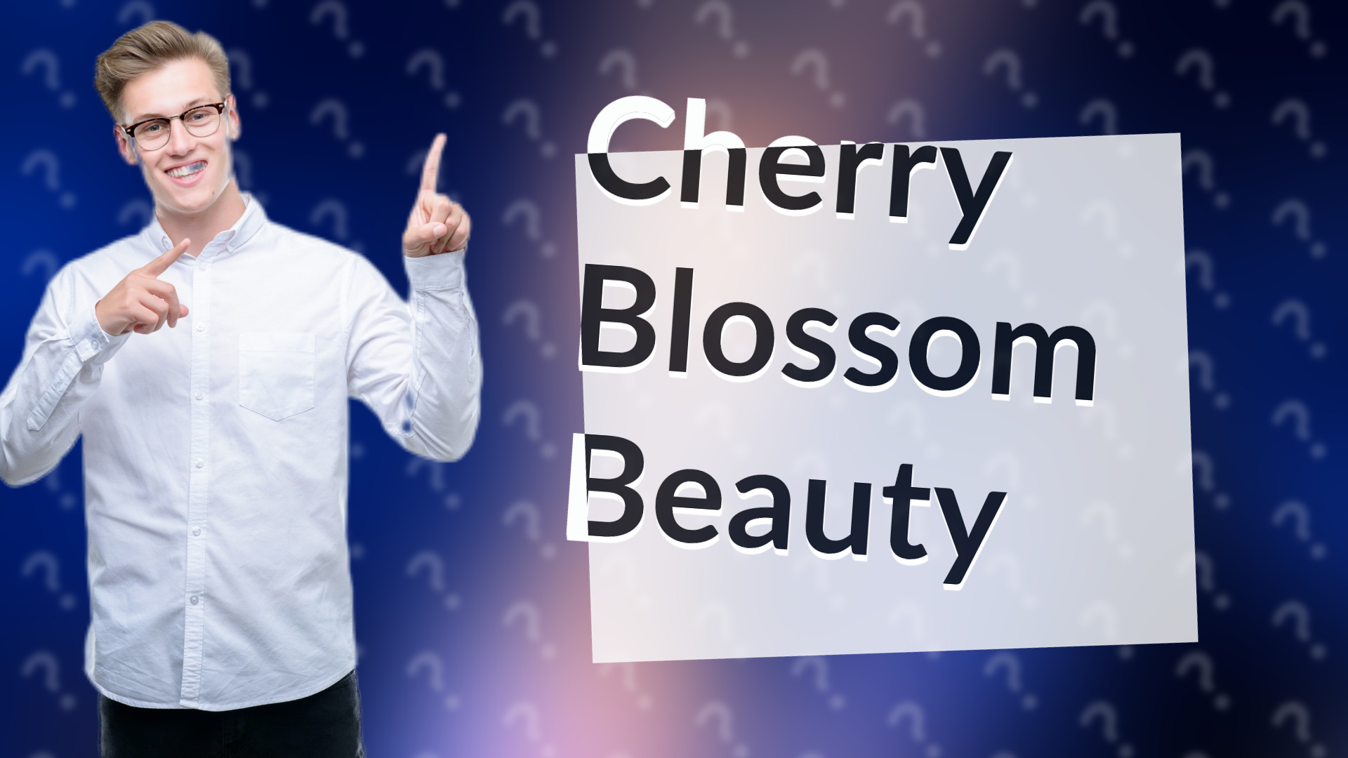 Cherry Blossom Beauty