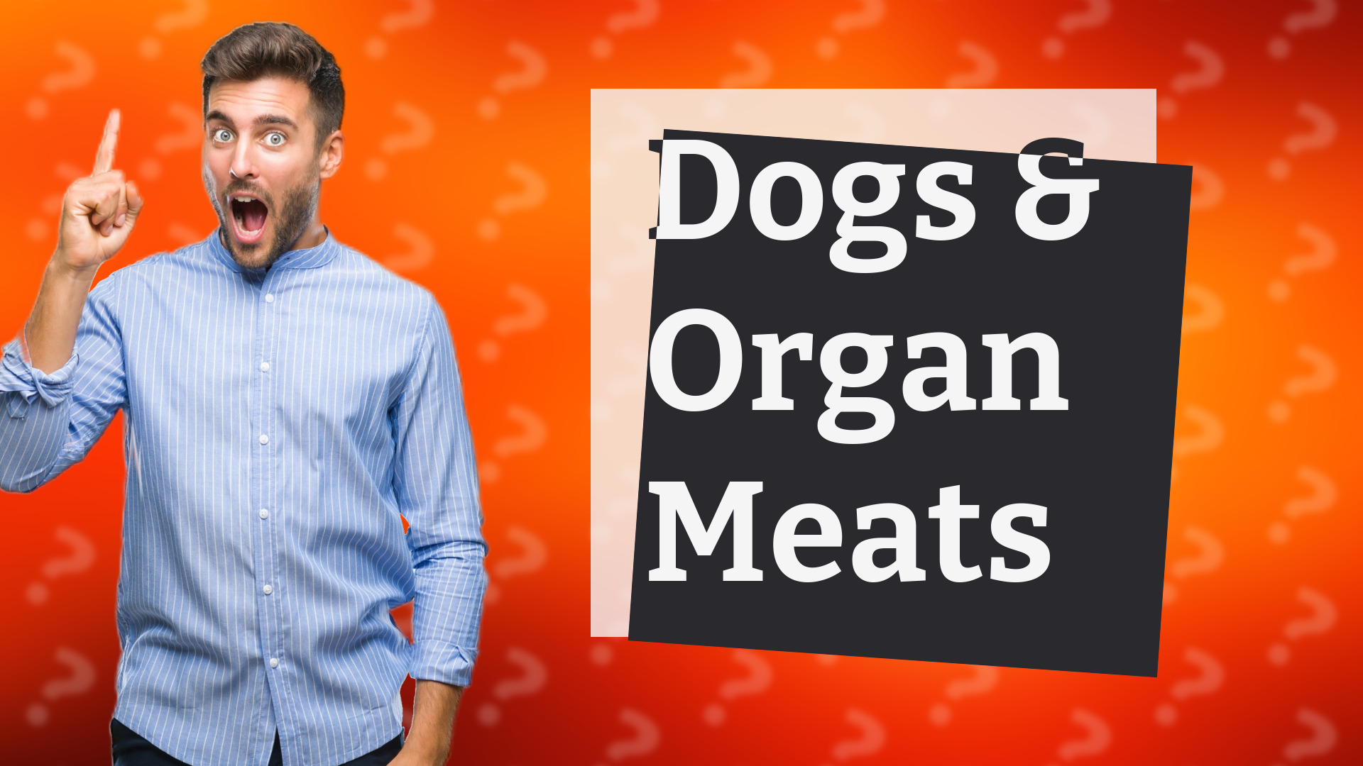 Dogs & Organ Meats