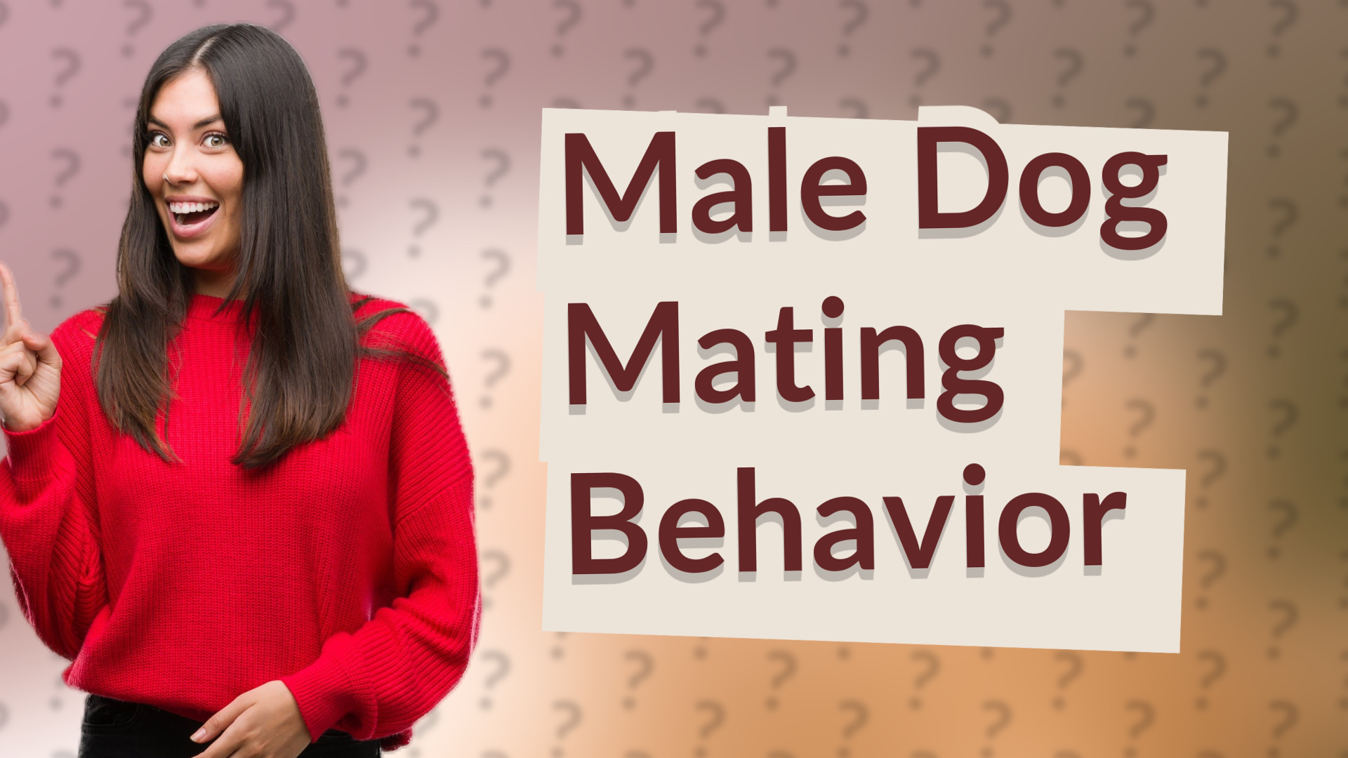 Male Dog Mating Behavior