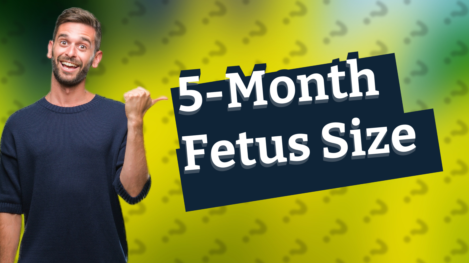 5-Month Fetus Size