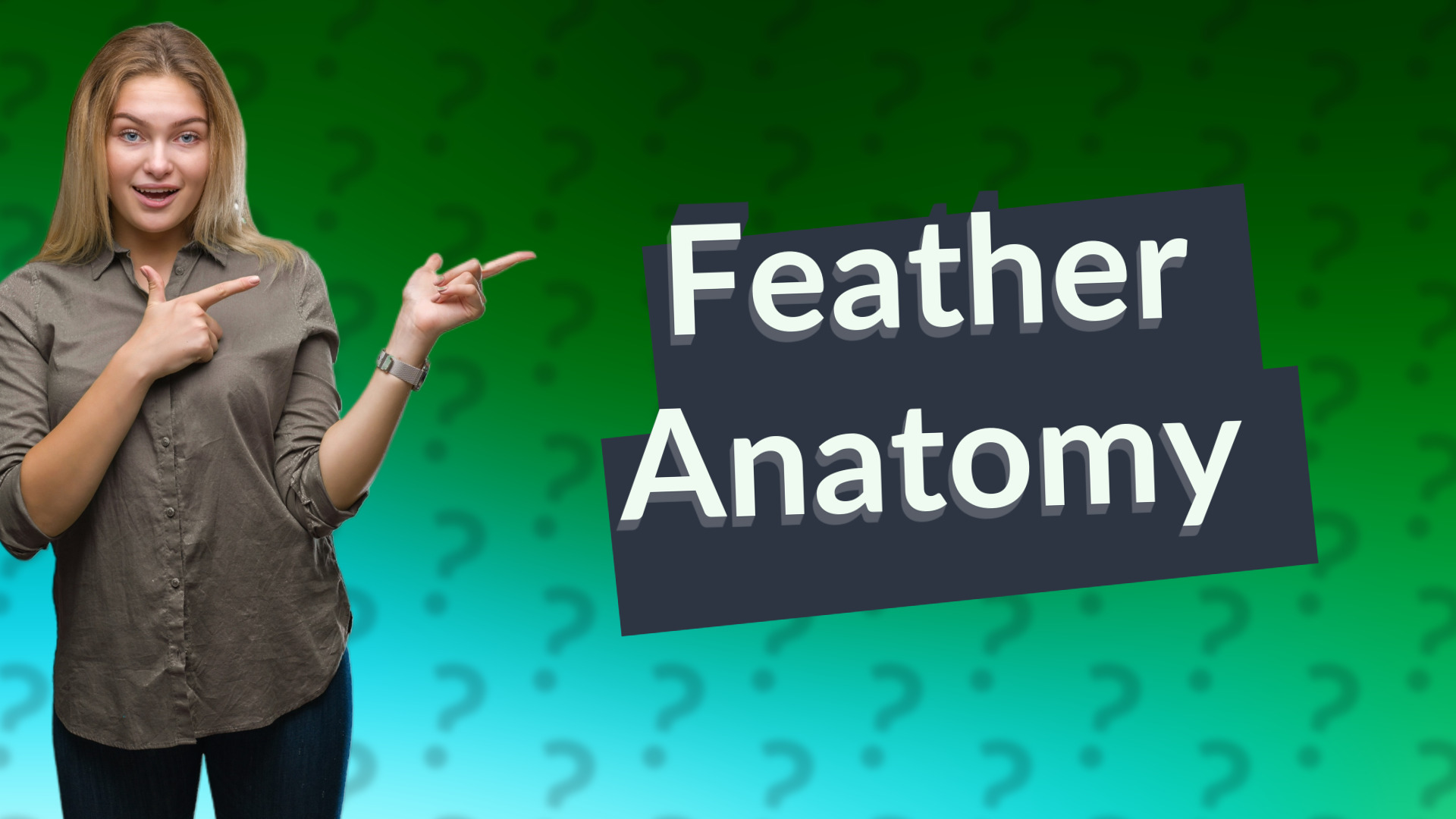 Feather Anatomy