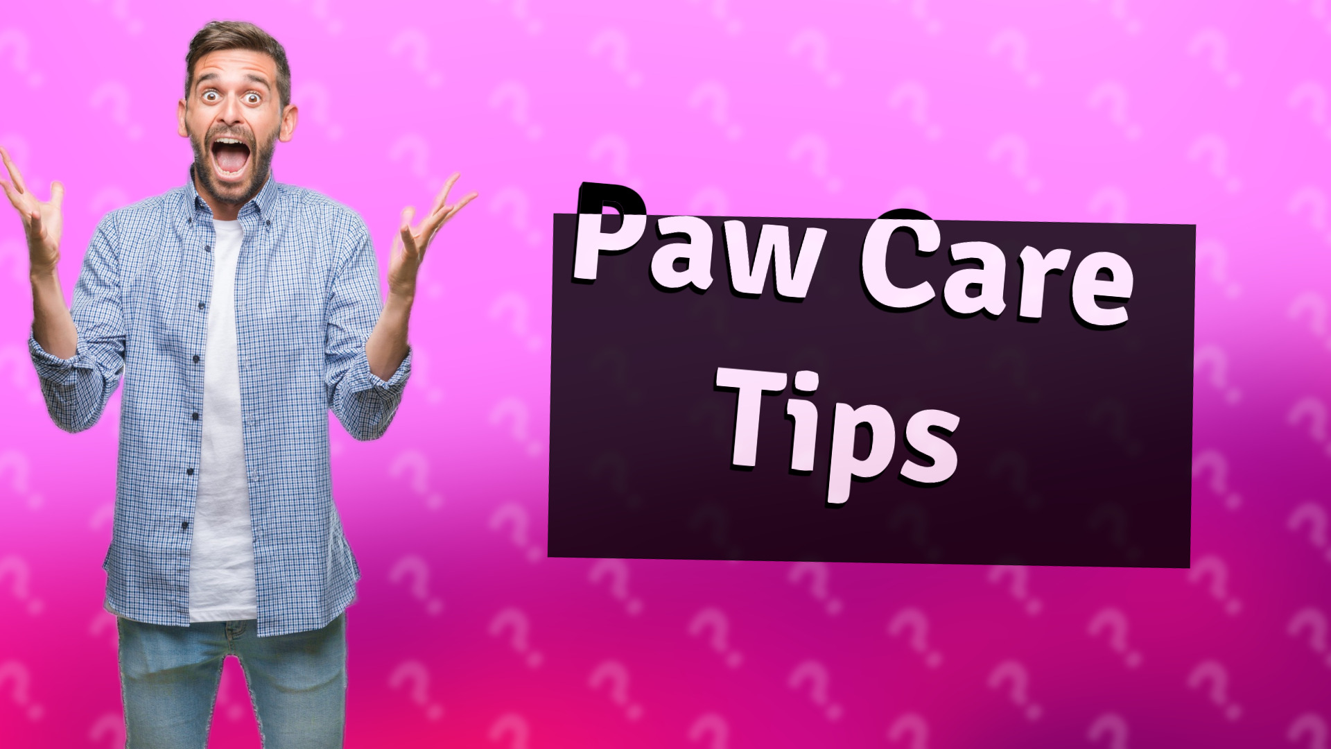 Paw Care Tips