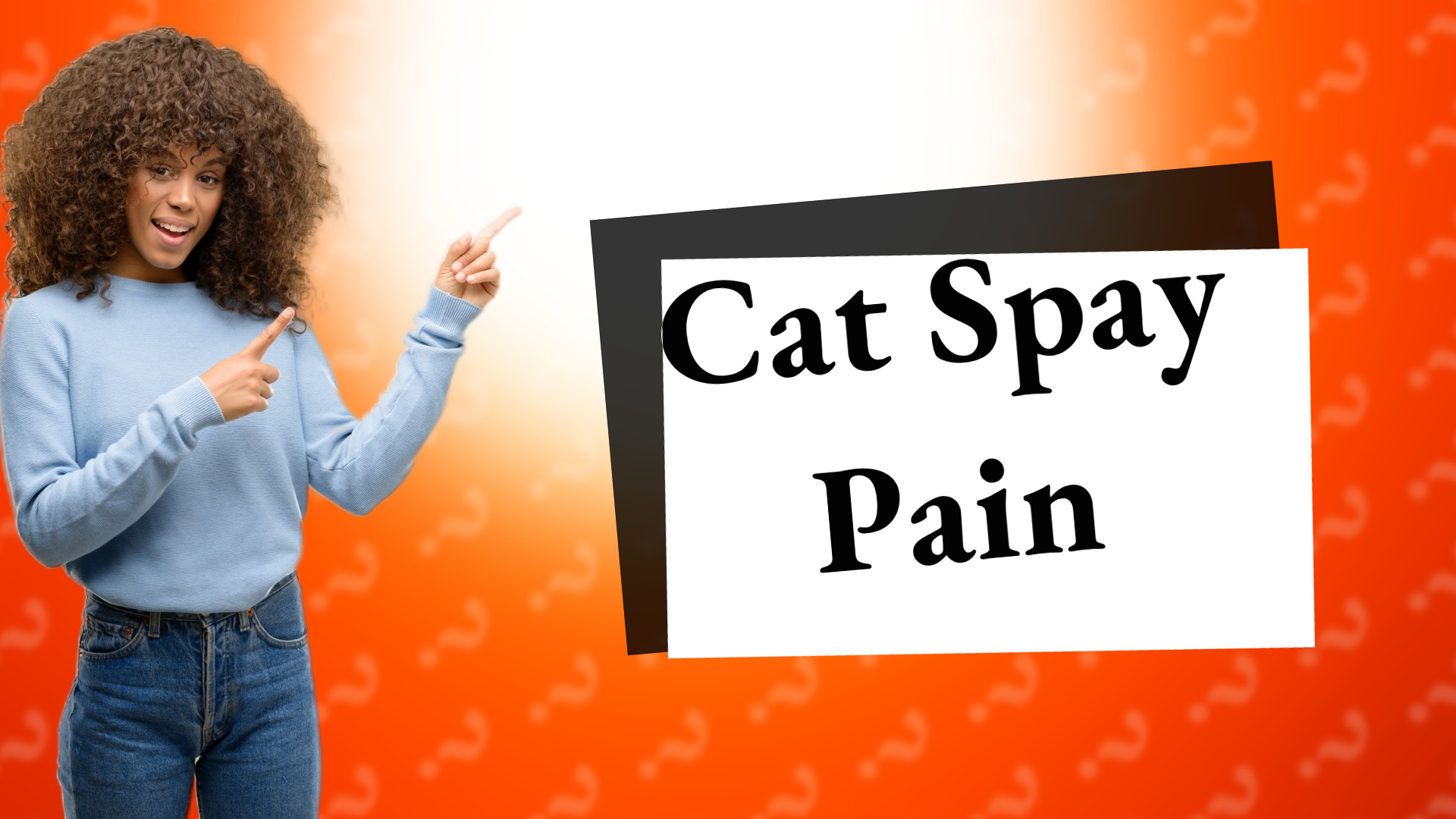 Cat Spay Pain