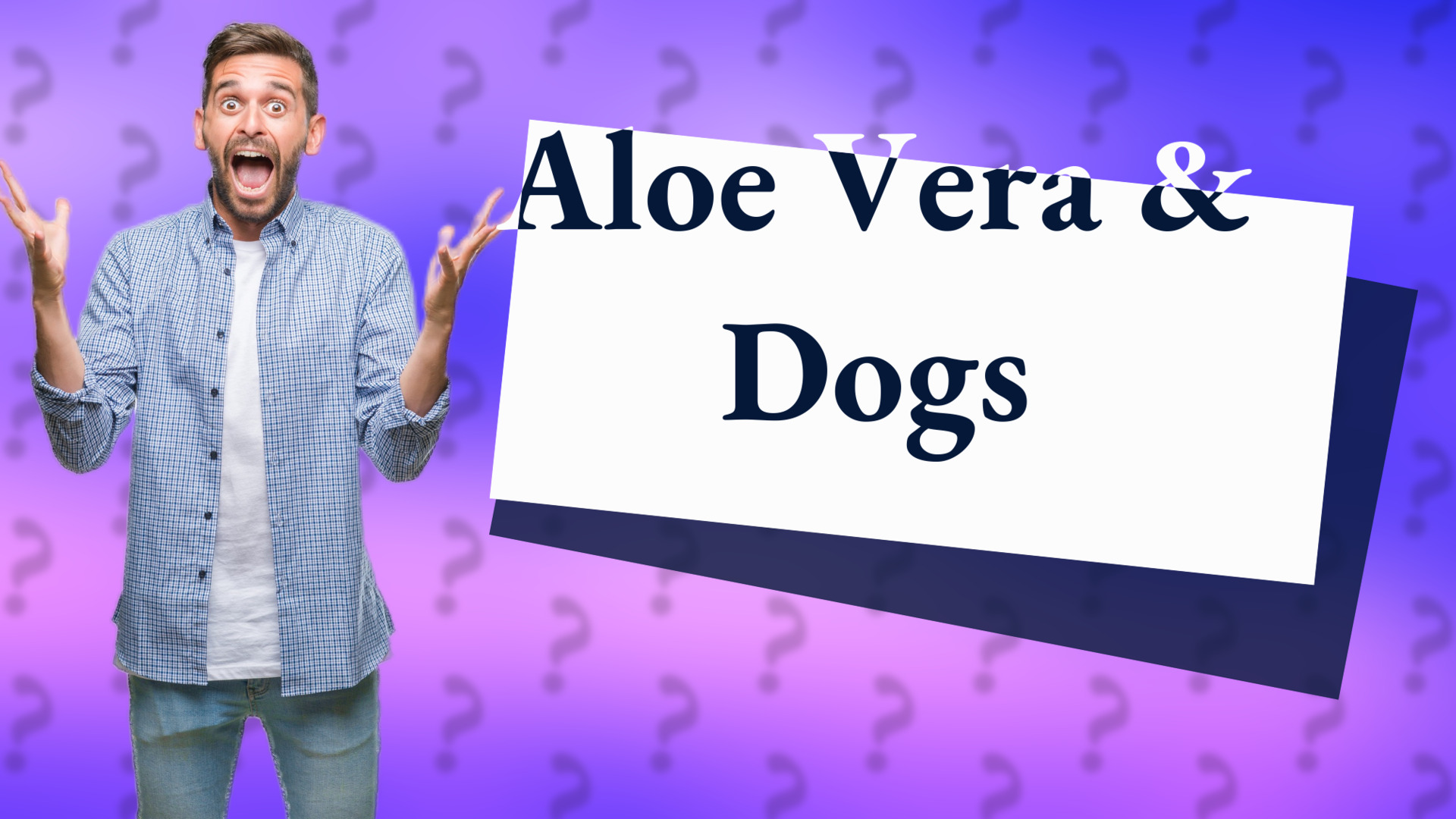Aloe Vera & Dogs