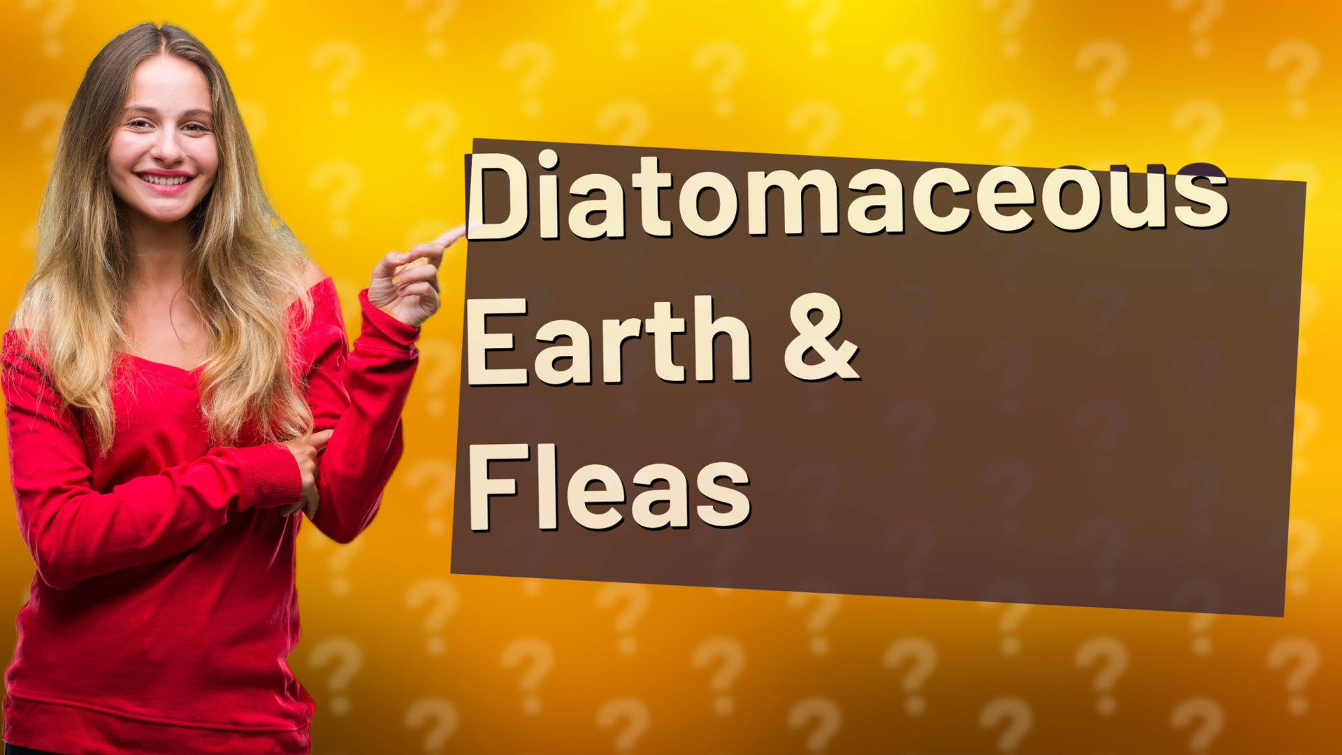 Diatomaceous Earth & Fleas